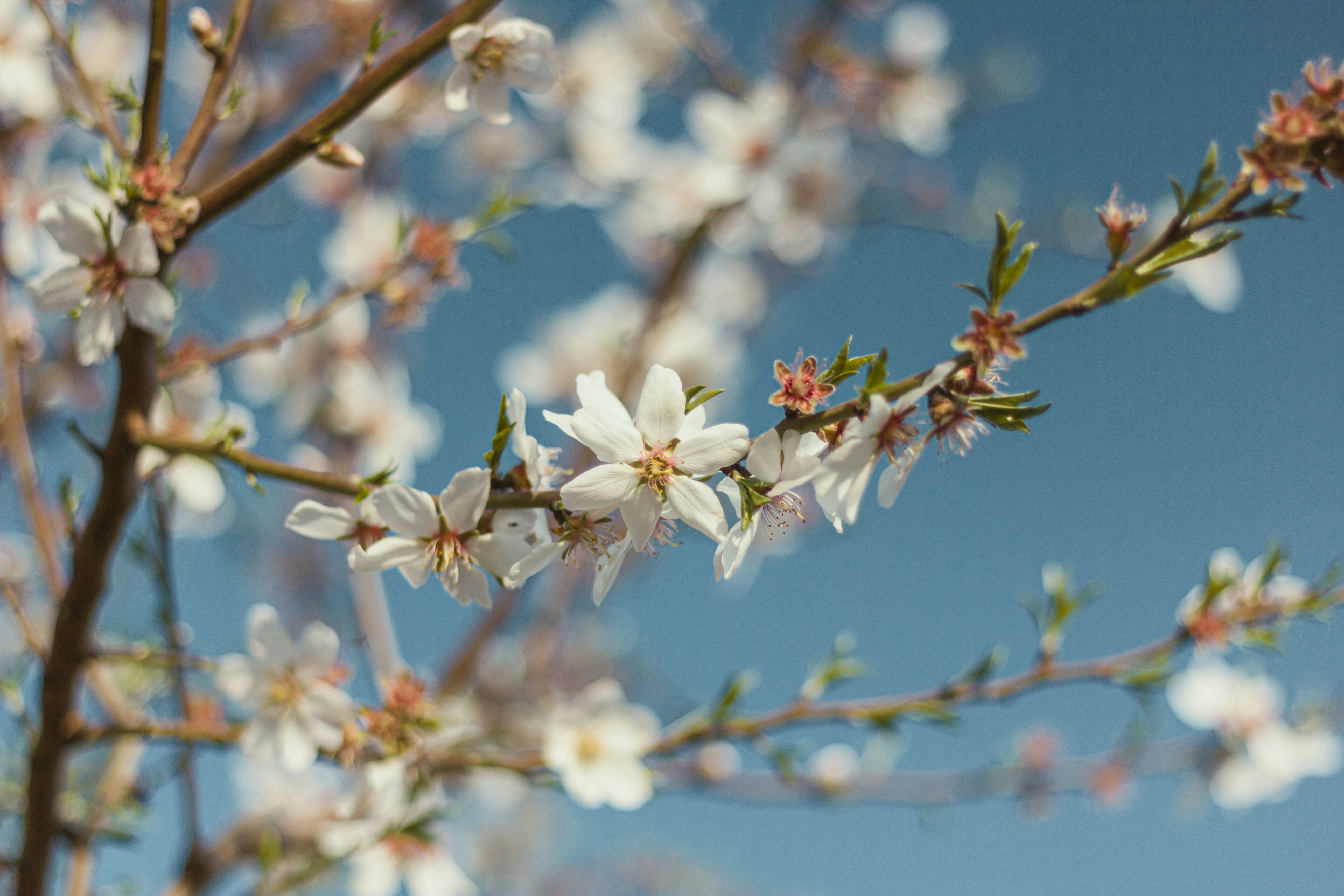 Photo by carlosborges_