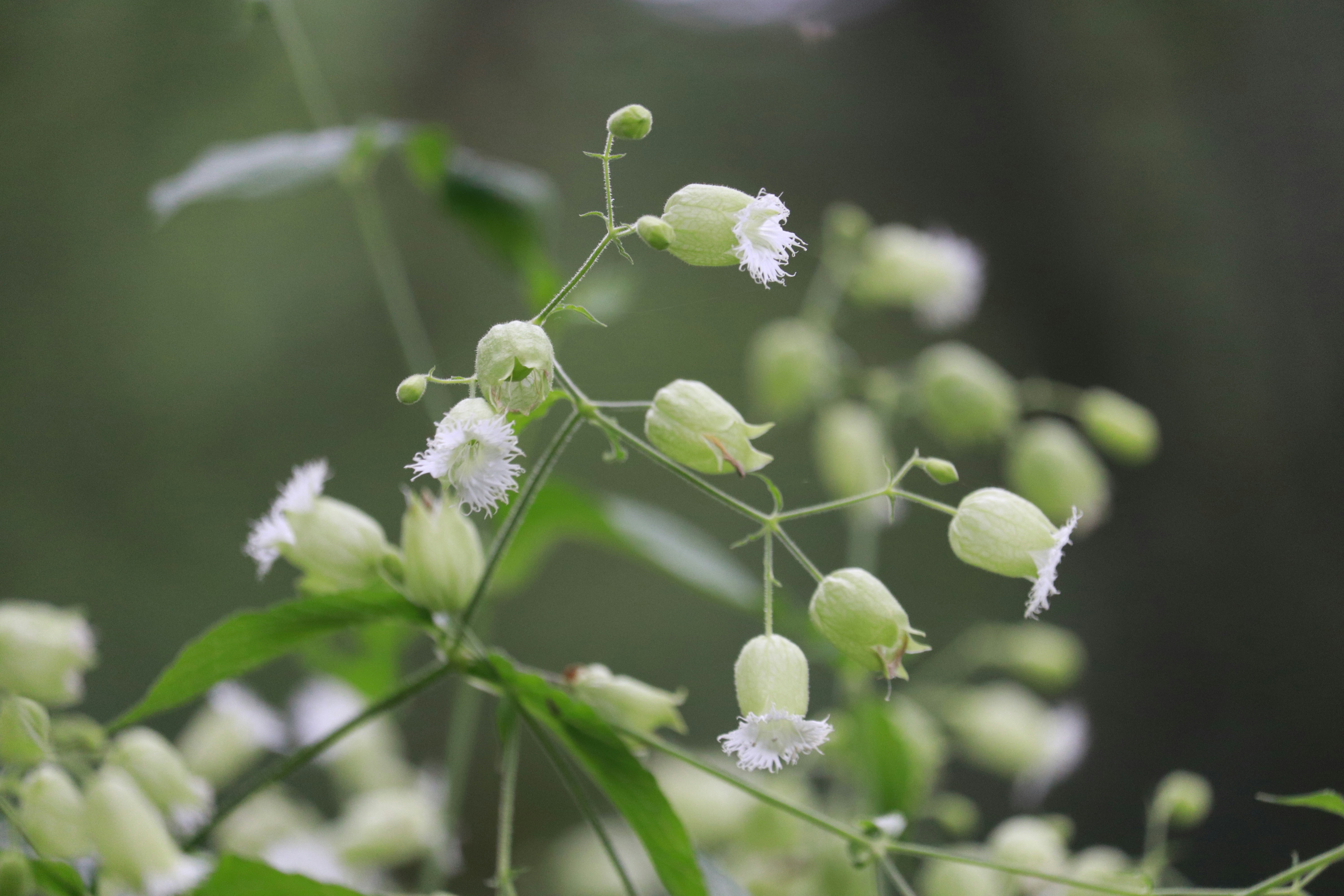 Photo by dhruv_padaliya