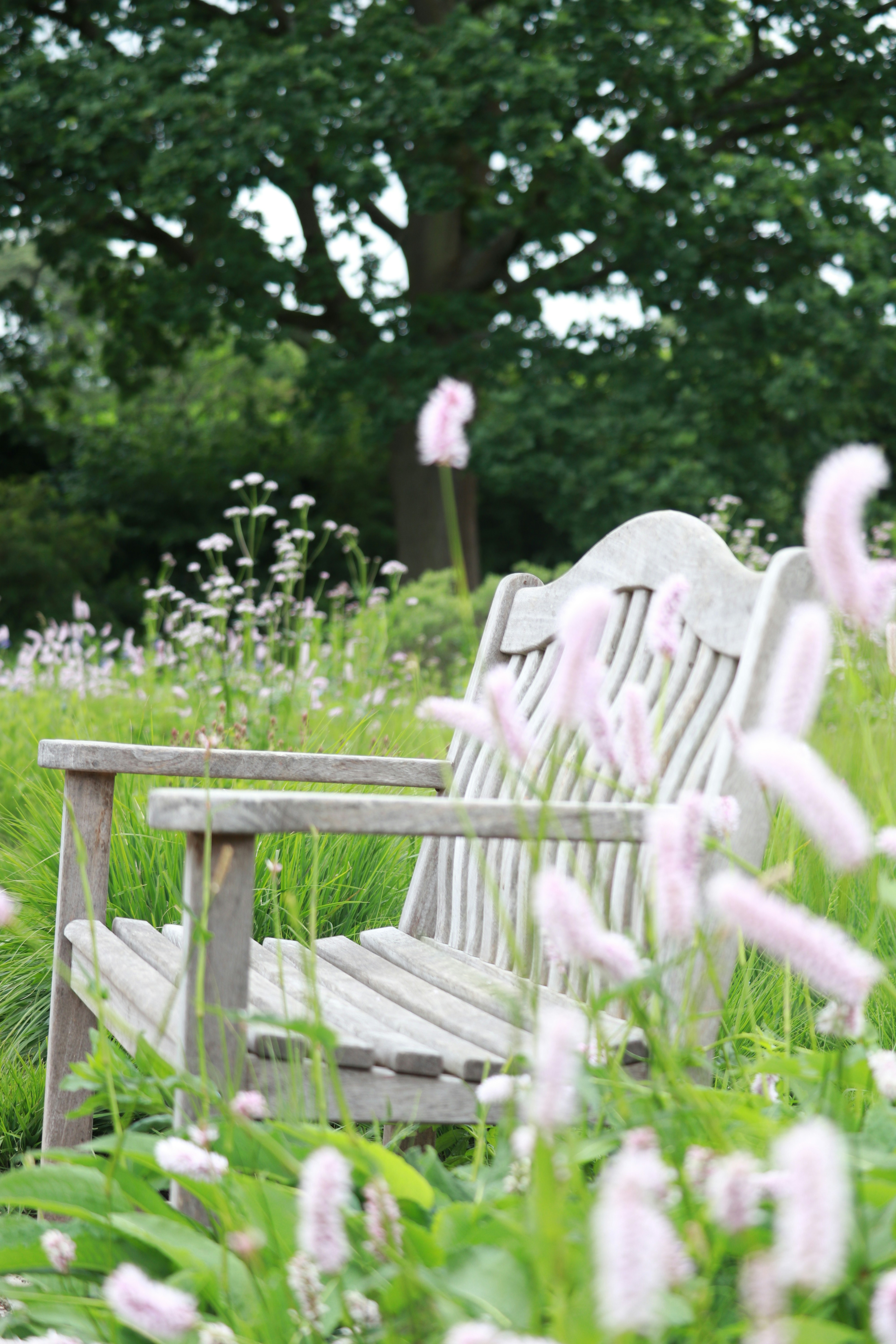 Photo by dhruv_padaliya