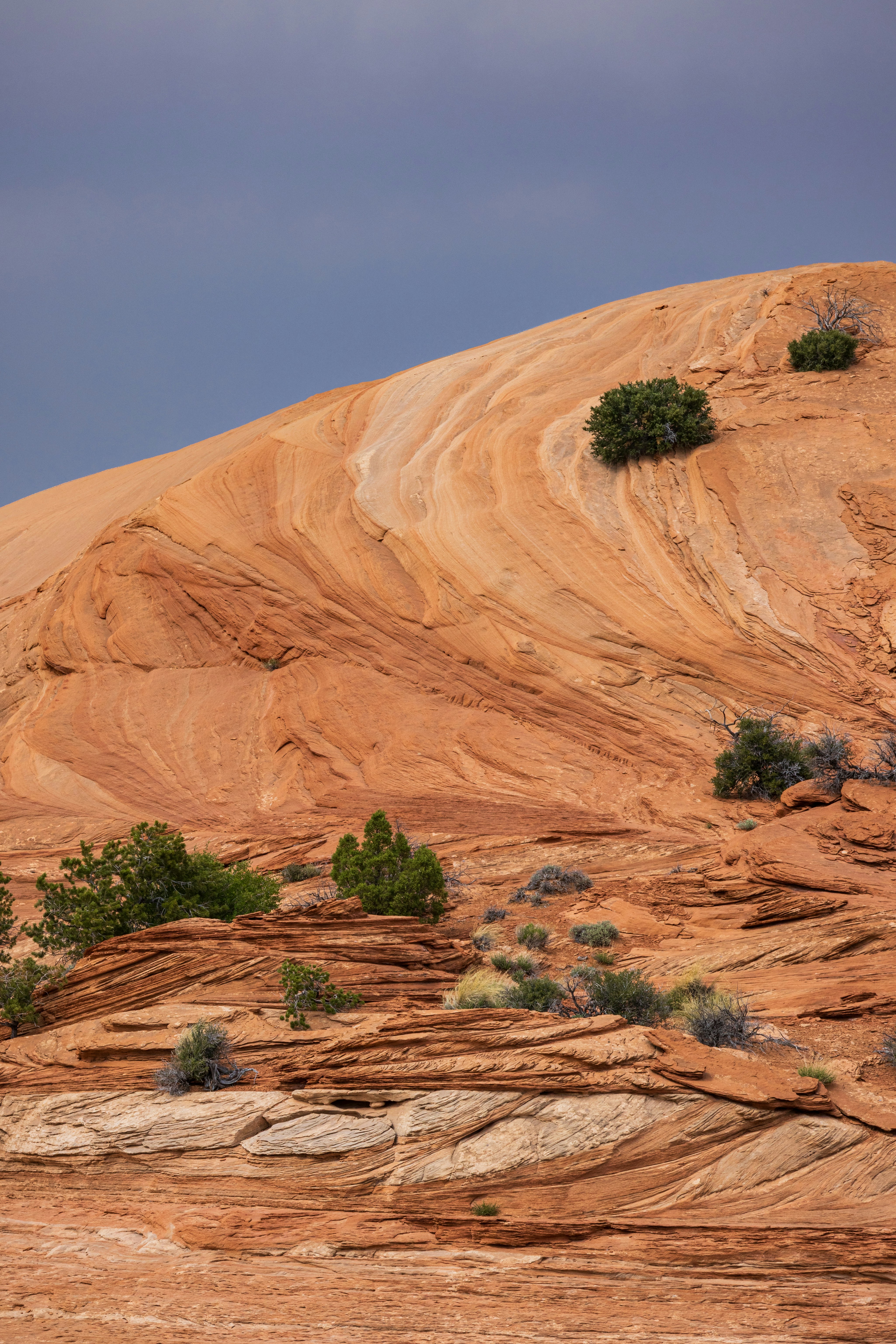 Photo by brandonstoll