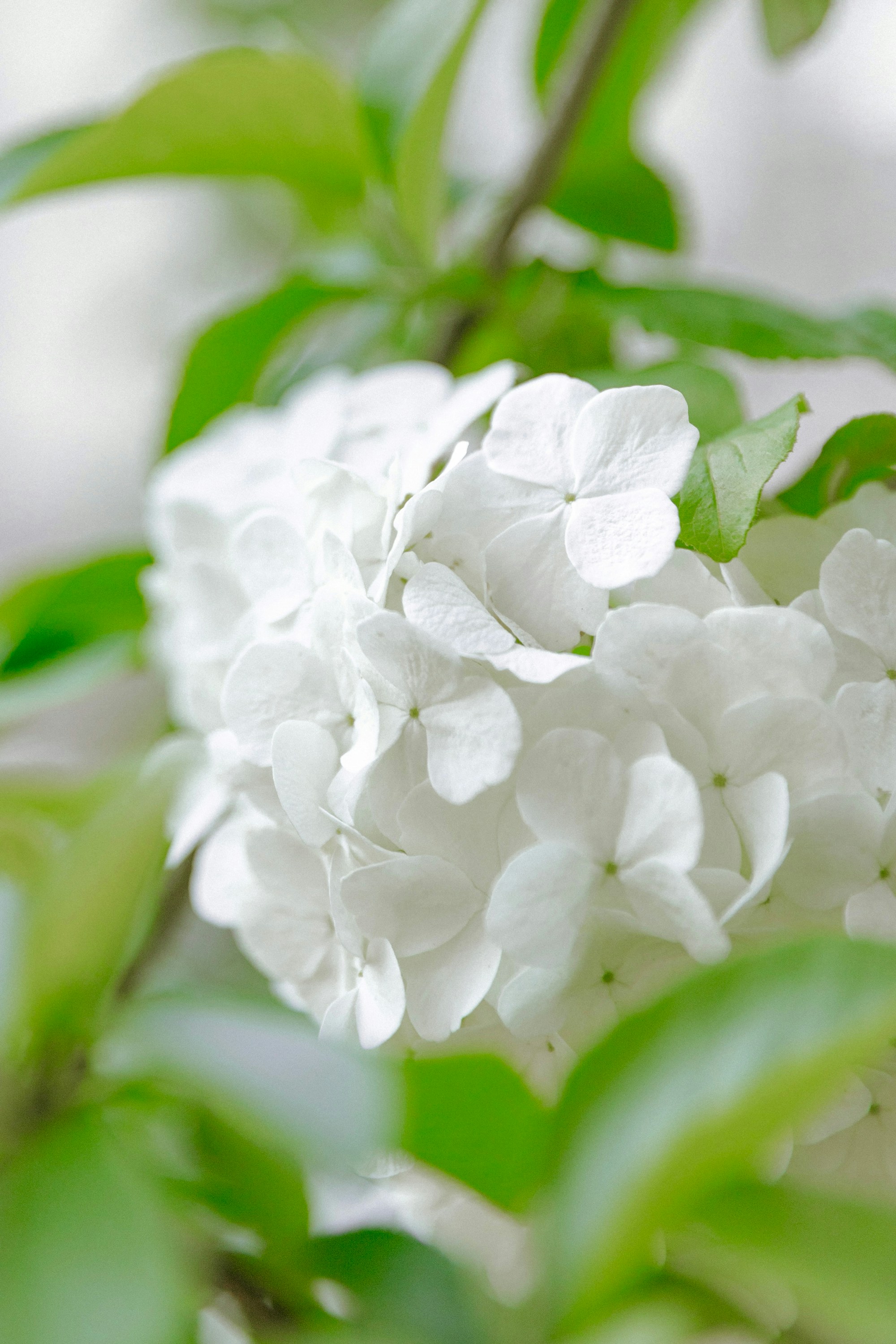 Photo by hanxiaoyaaaaa