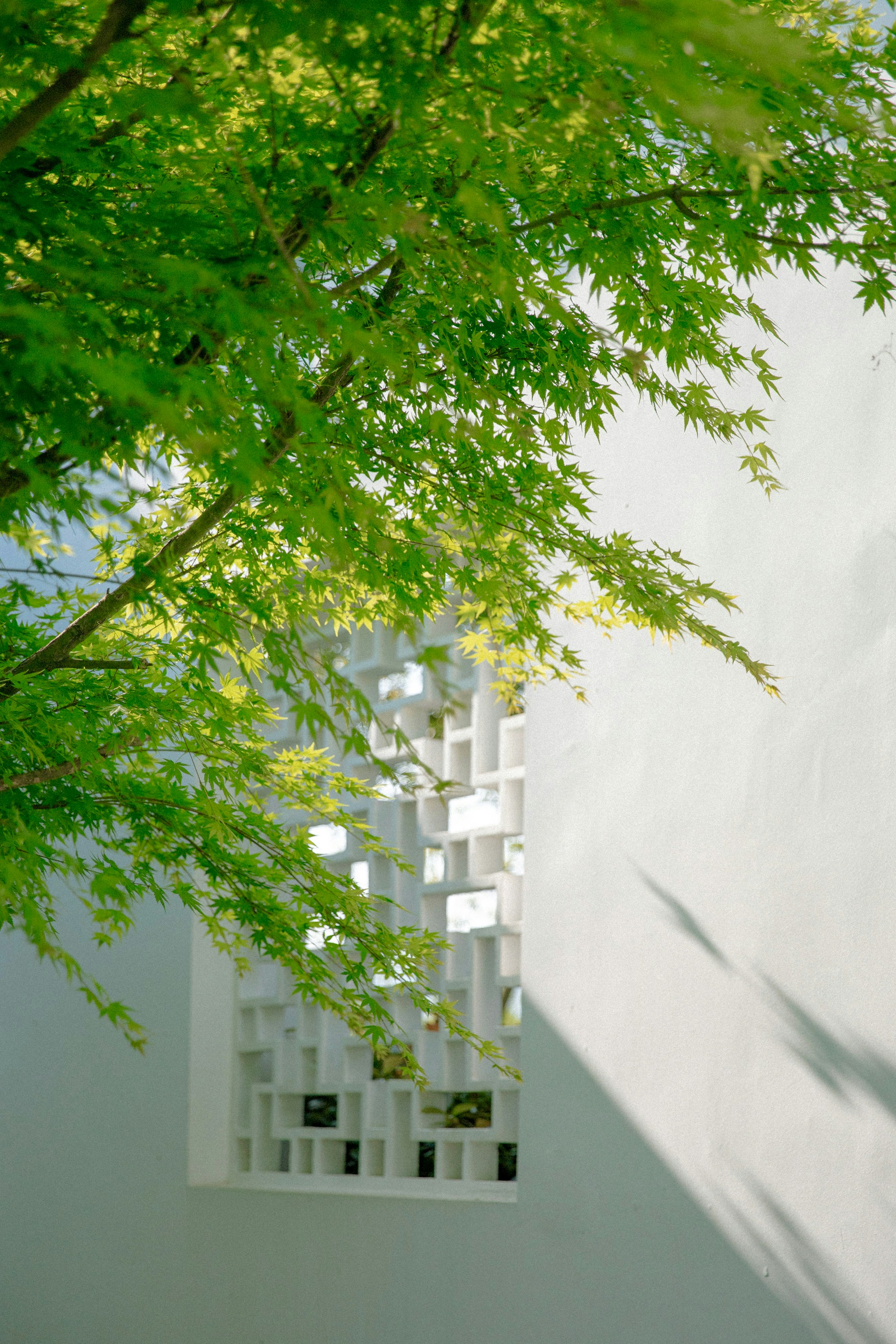 Photo by hanxiaoyaaaaa