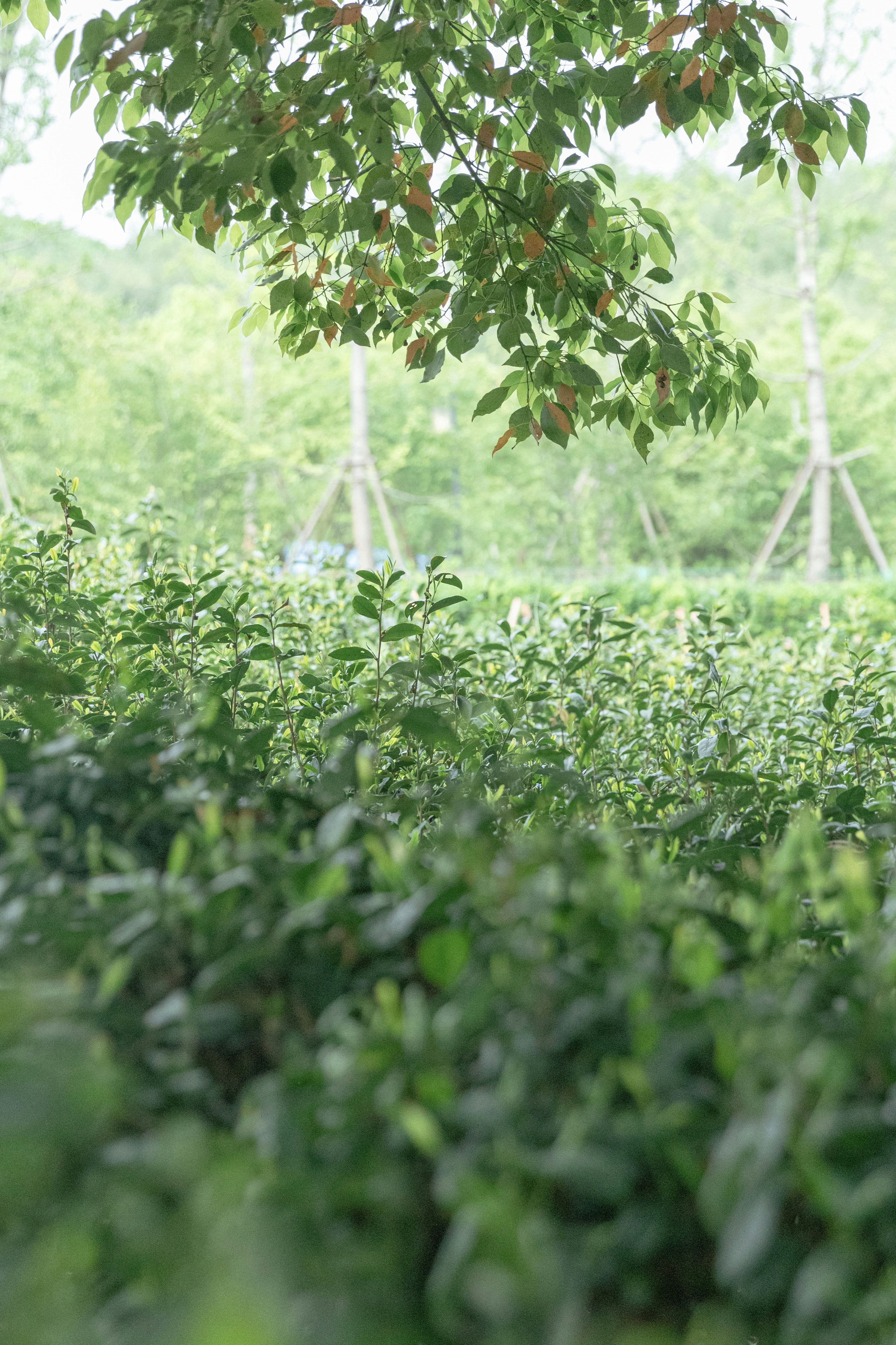 Photo by hanxiaoyaaaaa