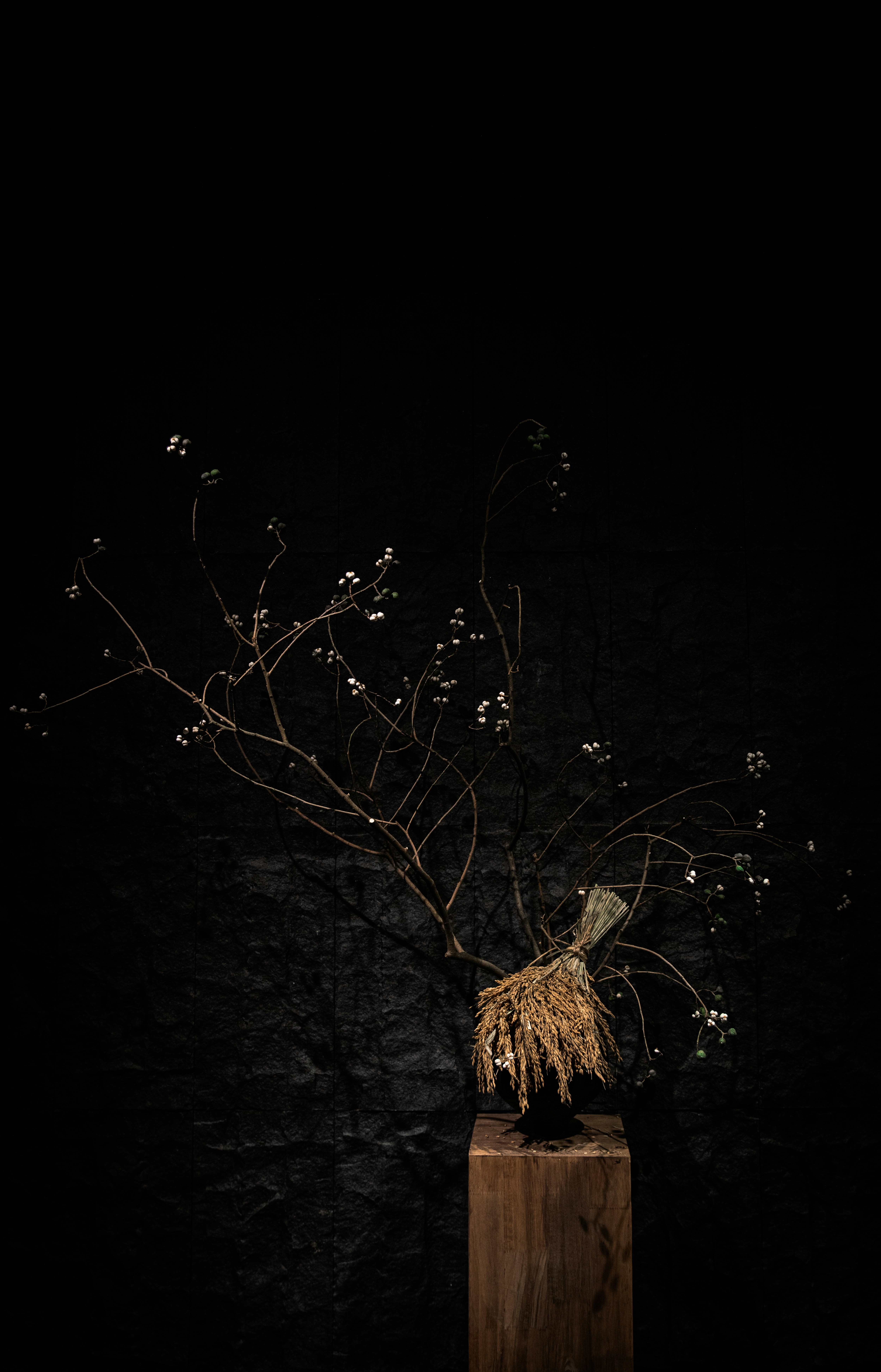 Photo by hanxiaoyaaaaa