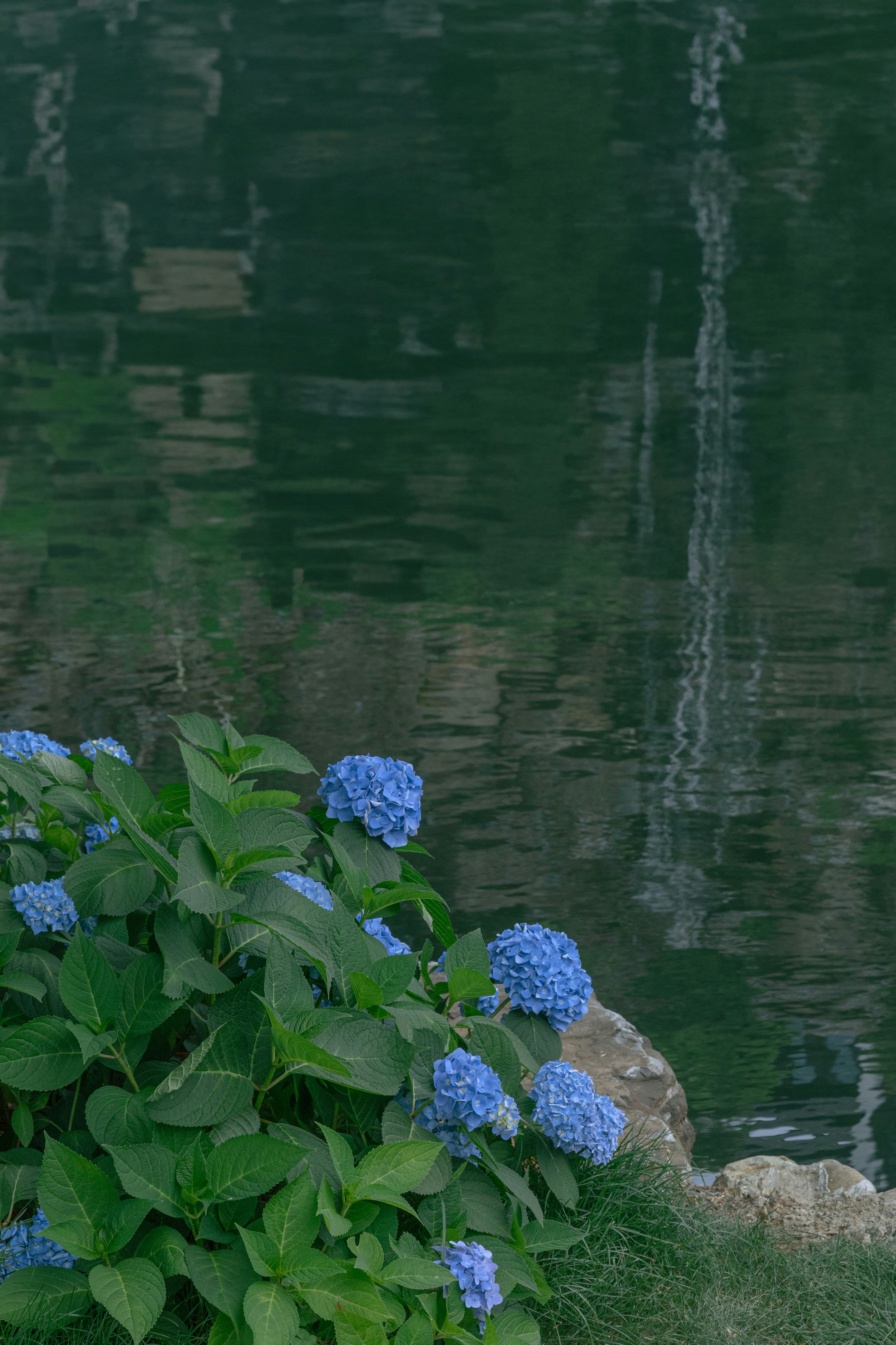 Photo by hanxiaoyaaaaa