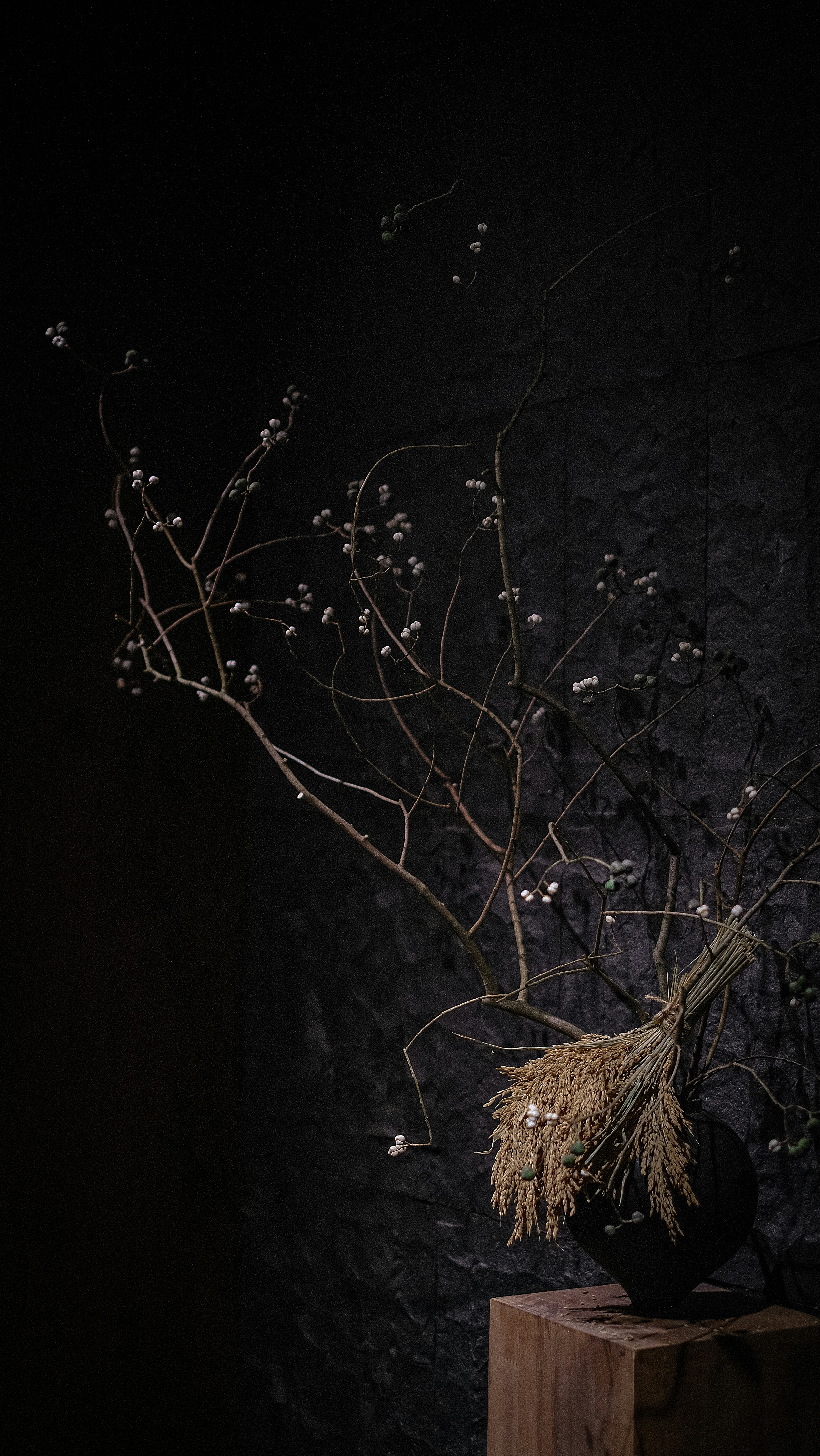 Photo by hanxiaoyaaaaa