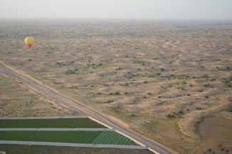 a hot air balloon flying over a field