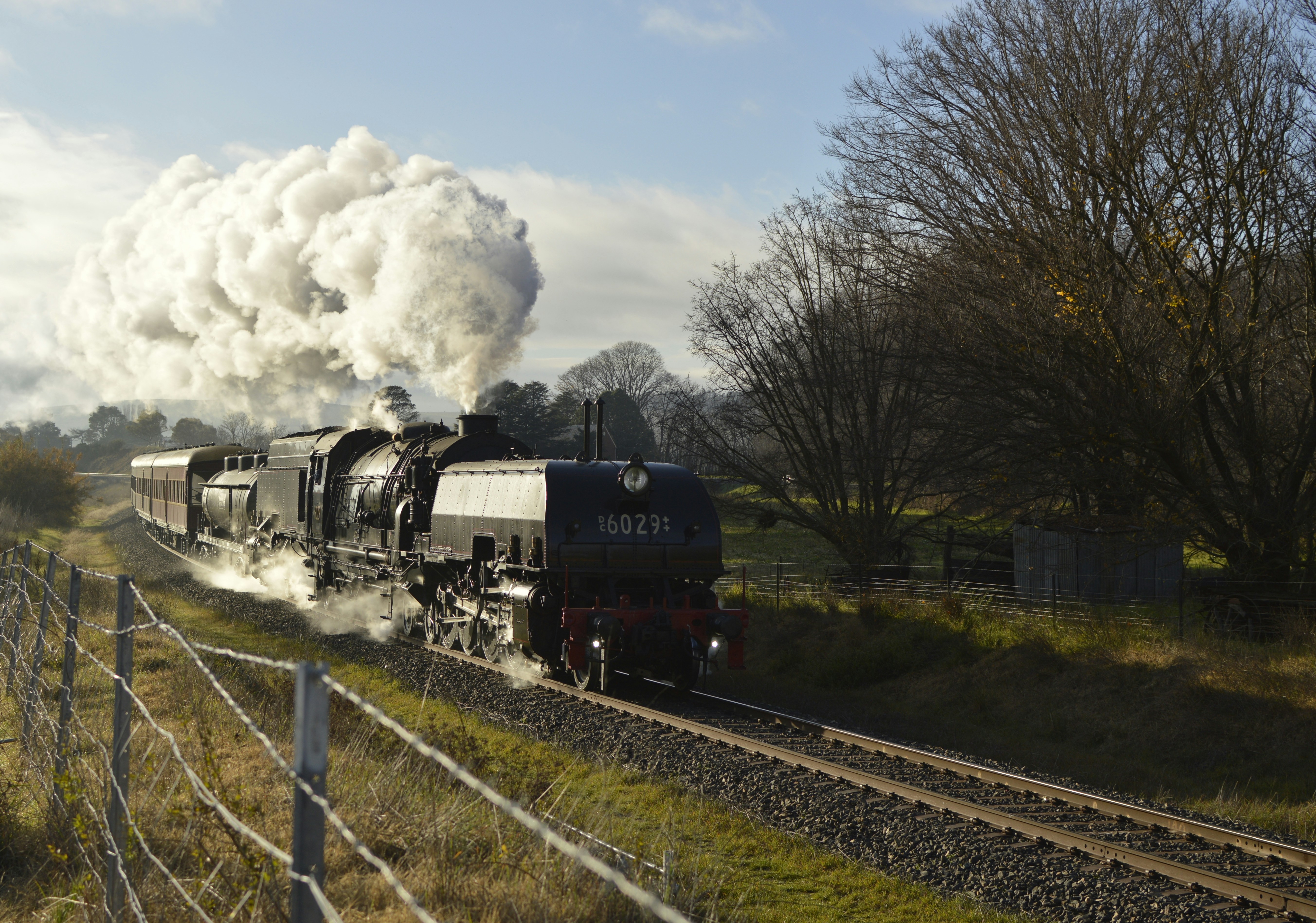 Photo by lakelandimages