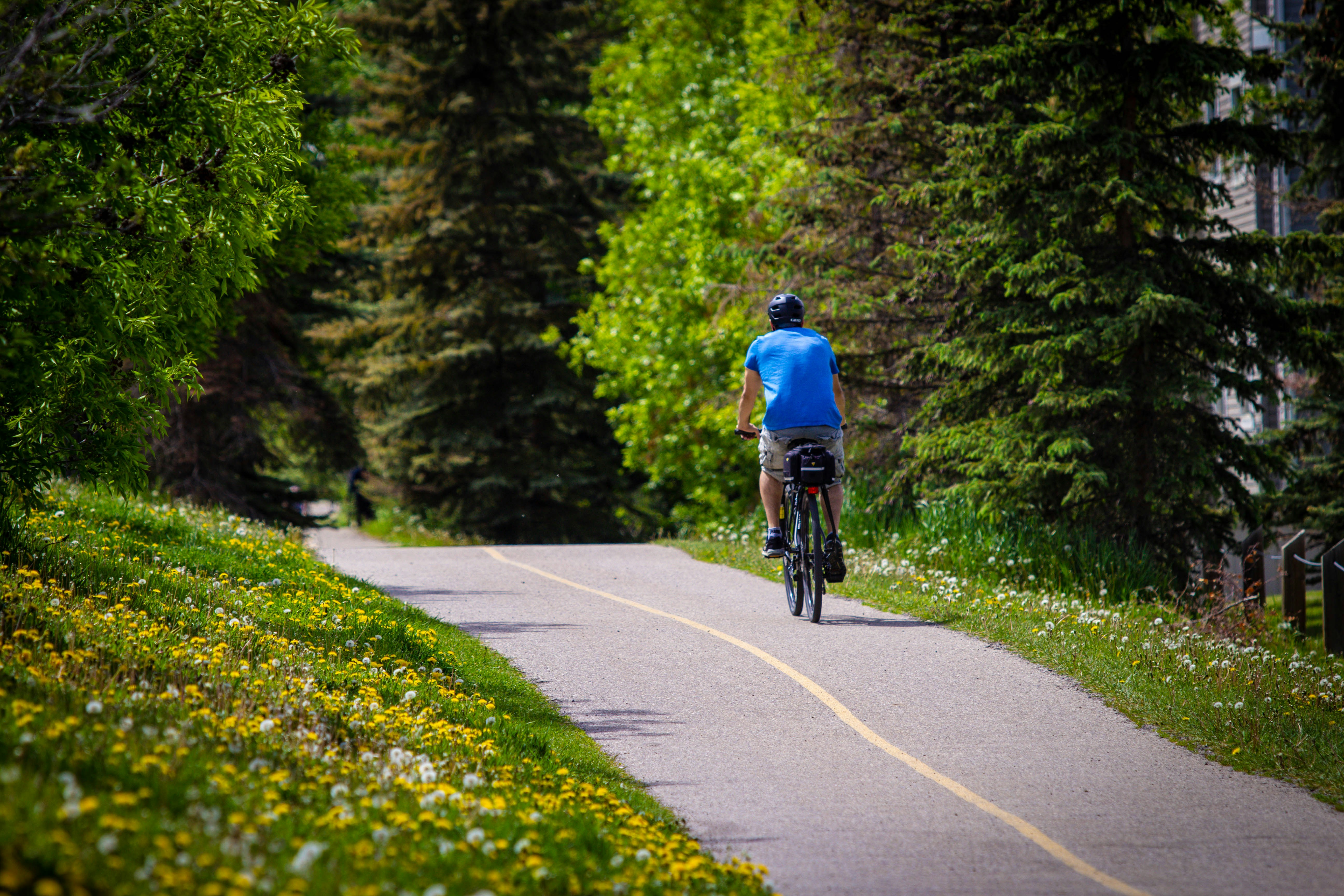a man riding a bike down a tree lined road