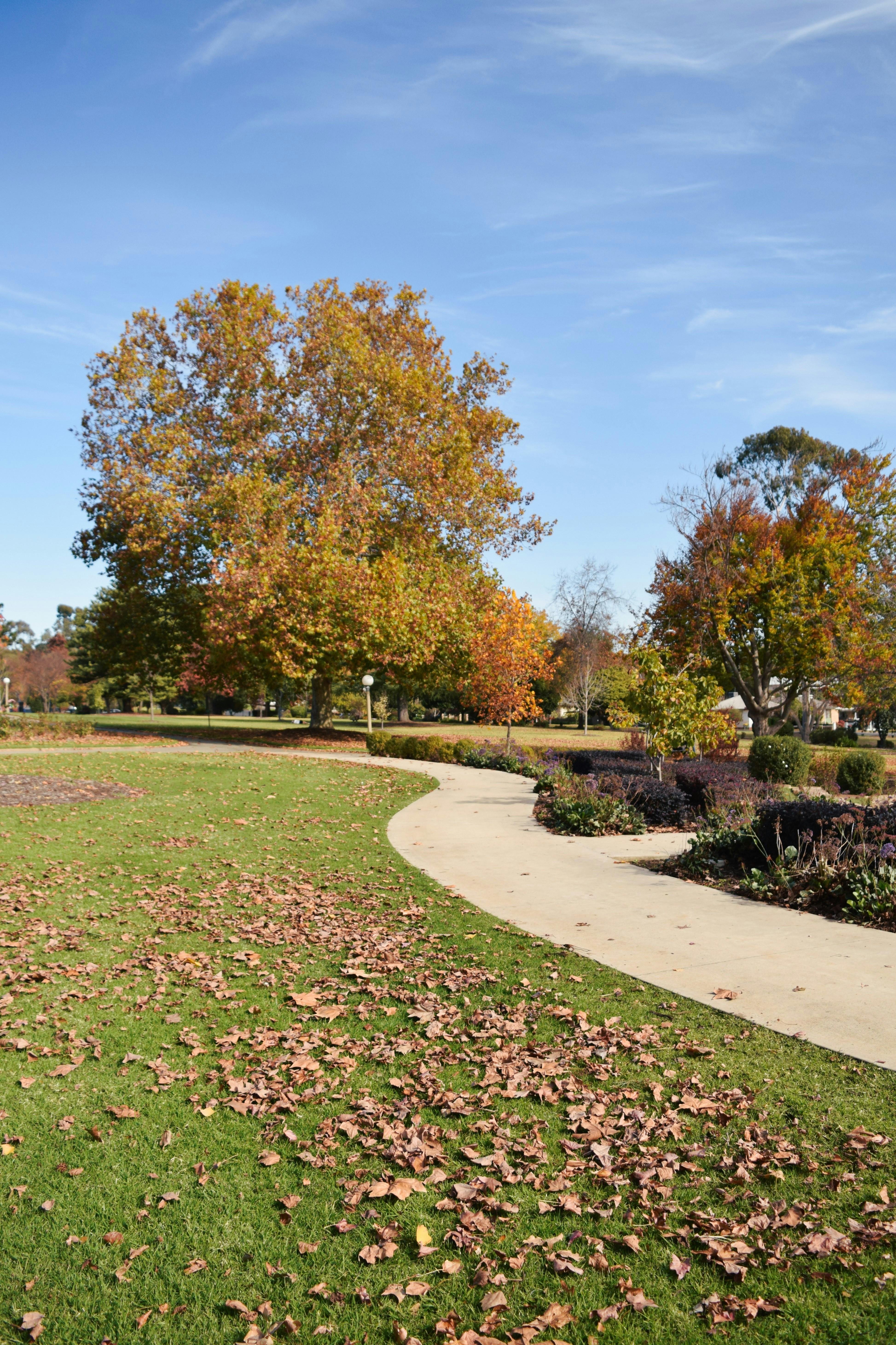 Photo by ch_photography