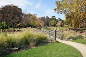 a wooden bridge over a lush green park
