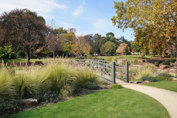 a wooden bridge over a lush green park