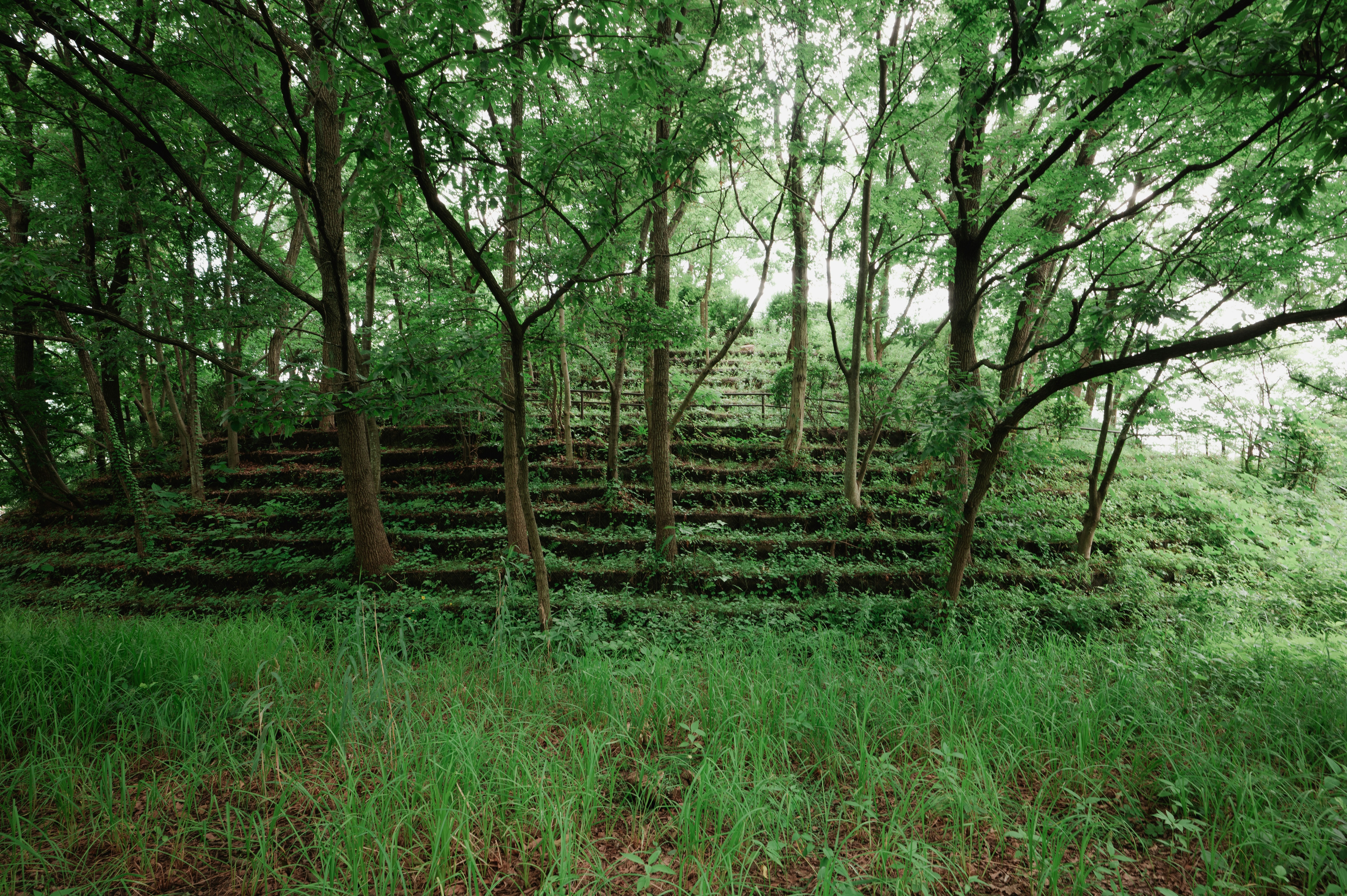 Photo by ryunosuke_kikuno