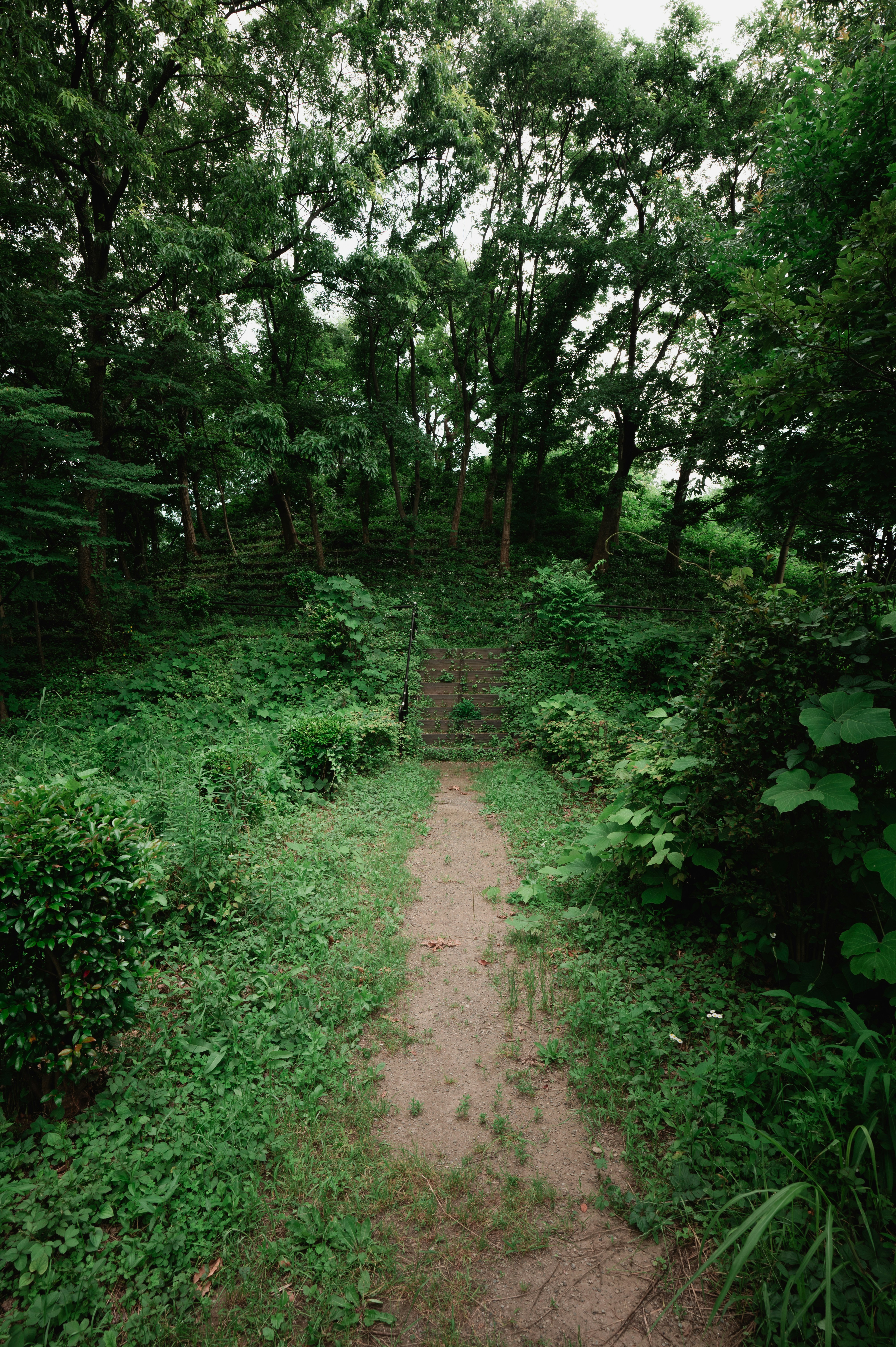 Photo by ryunosuke_kikuno