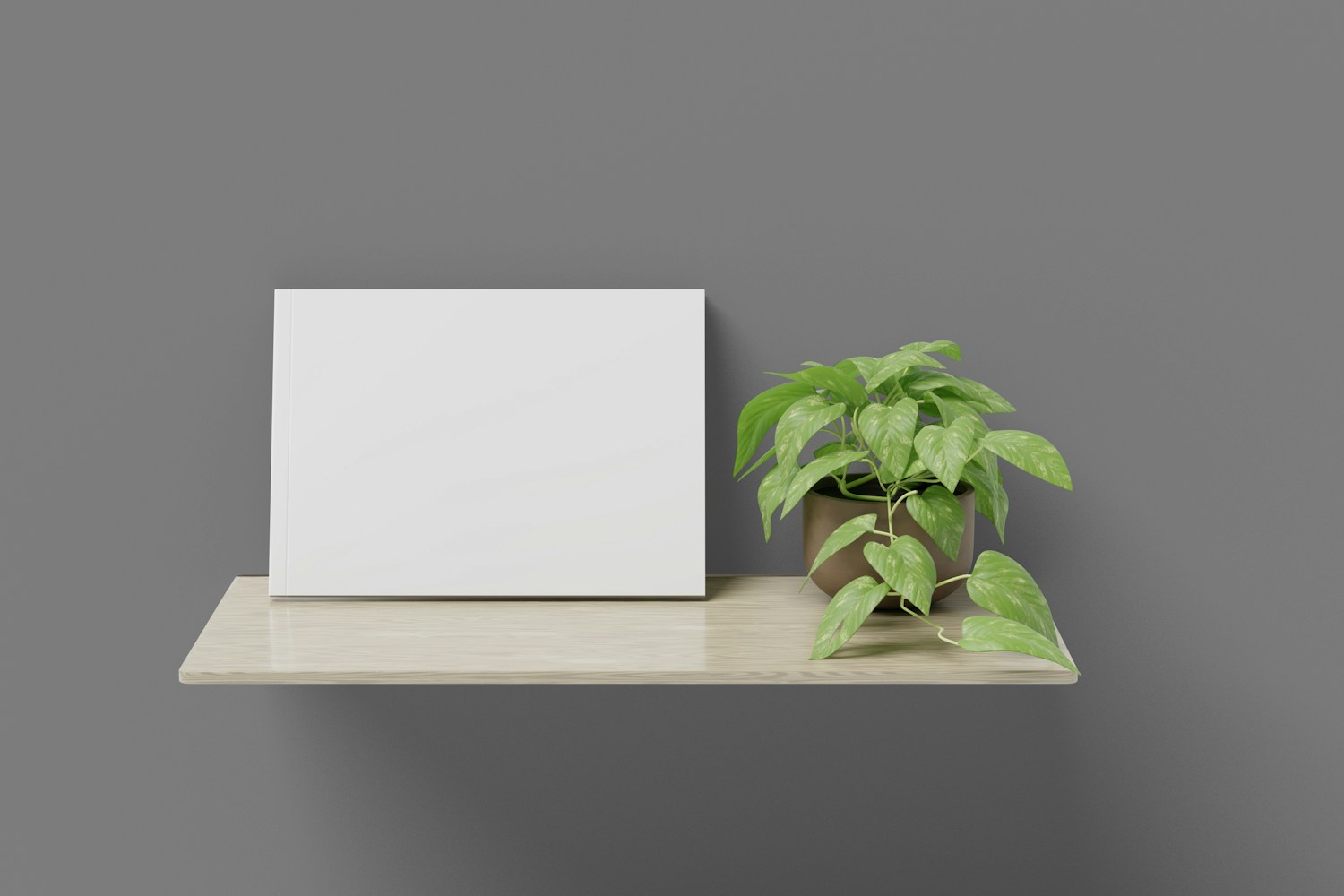 Luxurious Accommodations Image