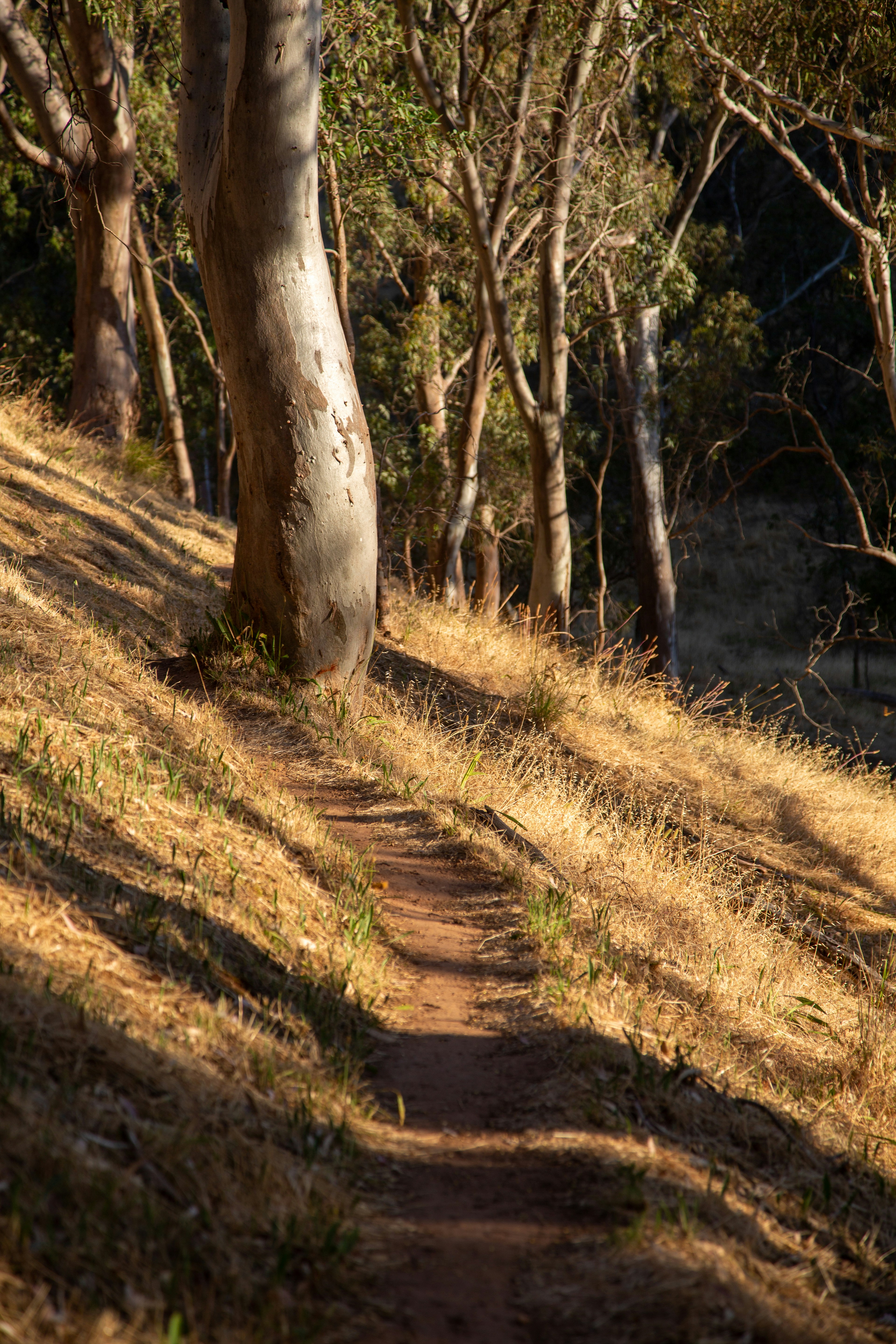 Photo by stephenmabbs