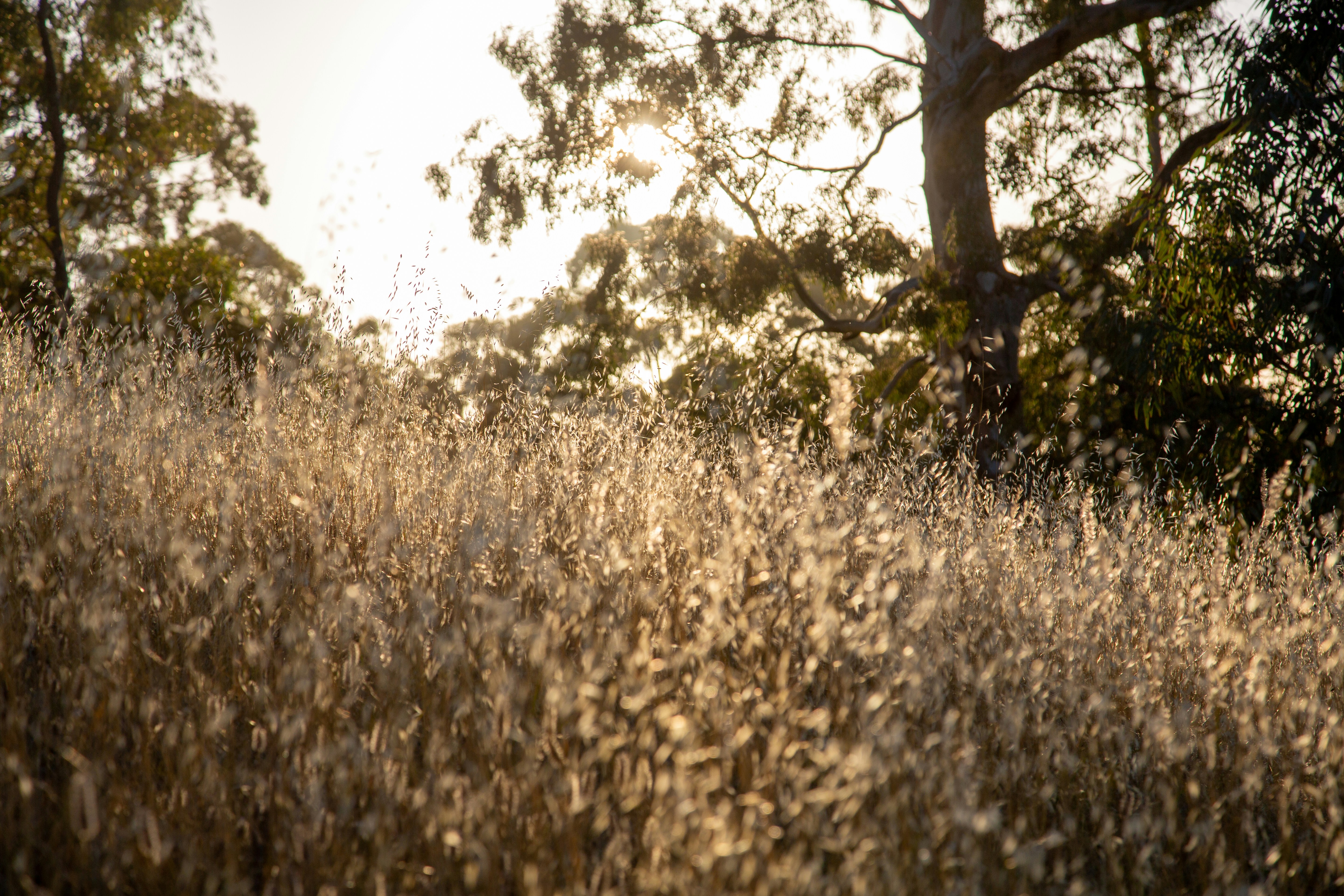 Photo by stephenmabbs