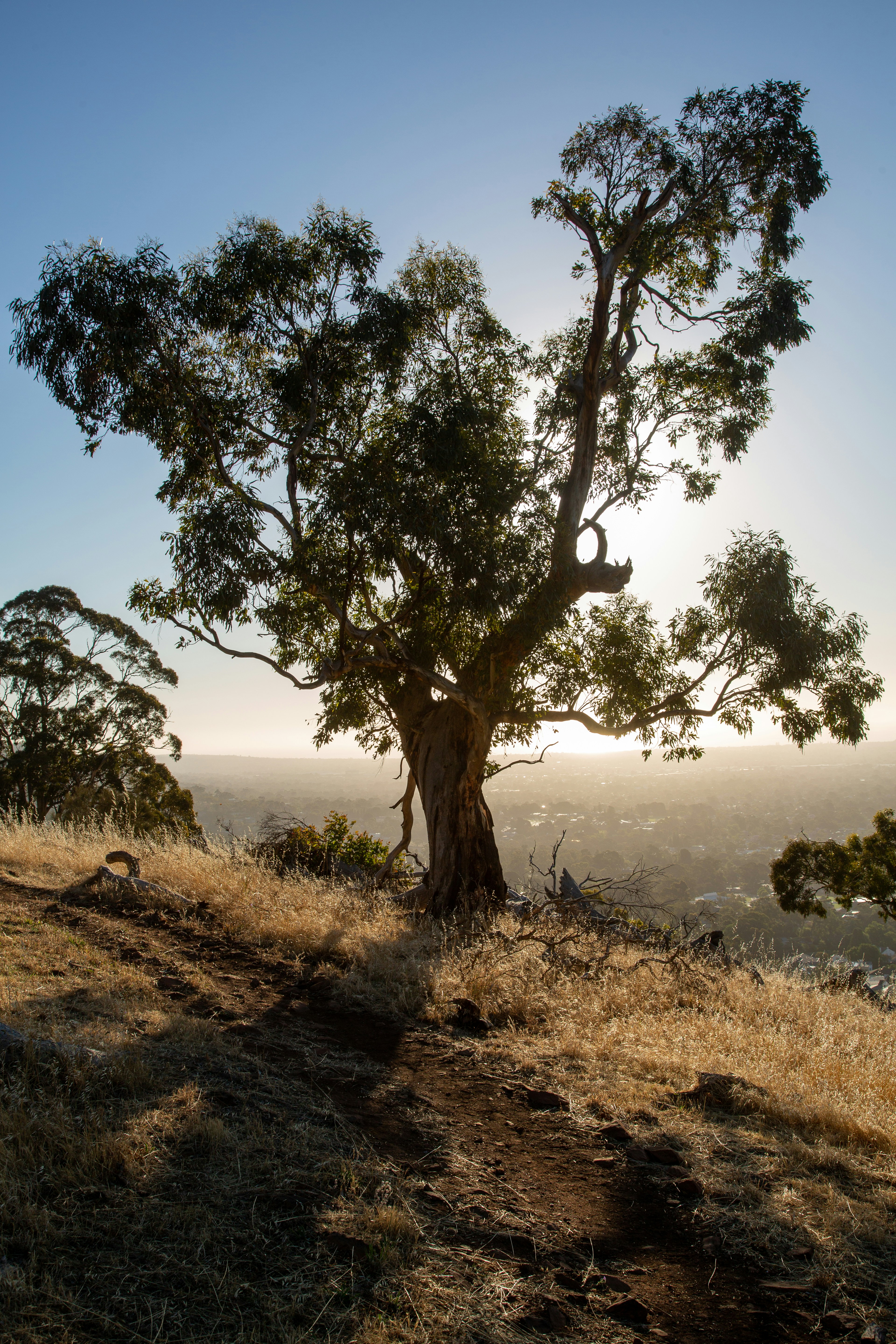 Photo by stephenmabbs