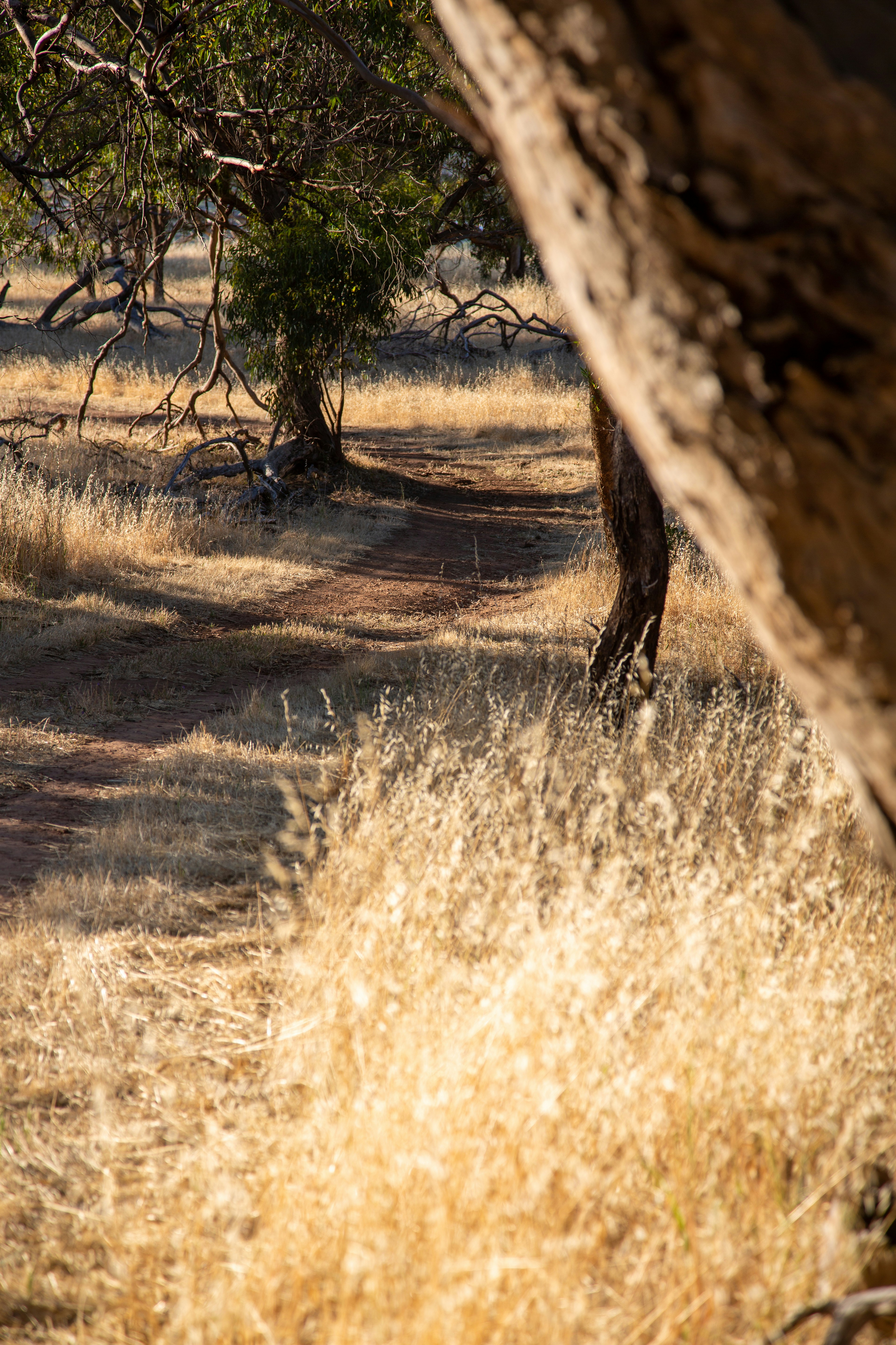 Photo by stephenmabbs