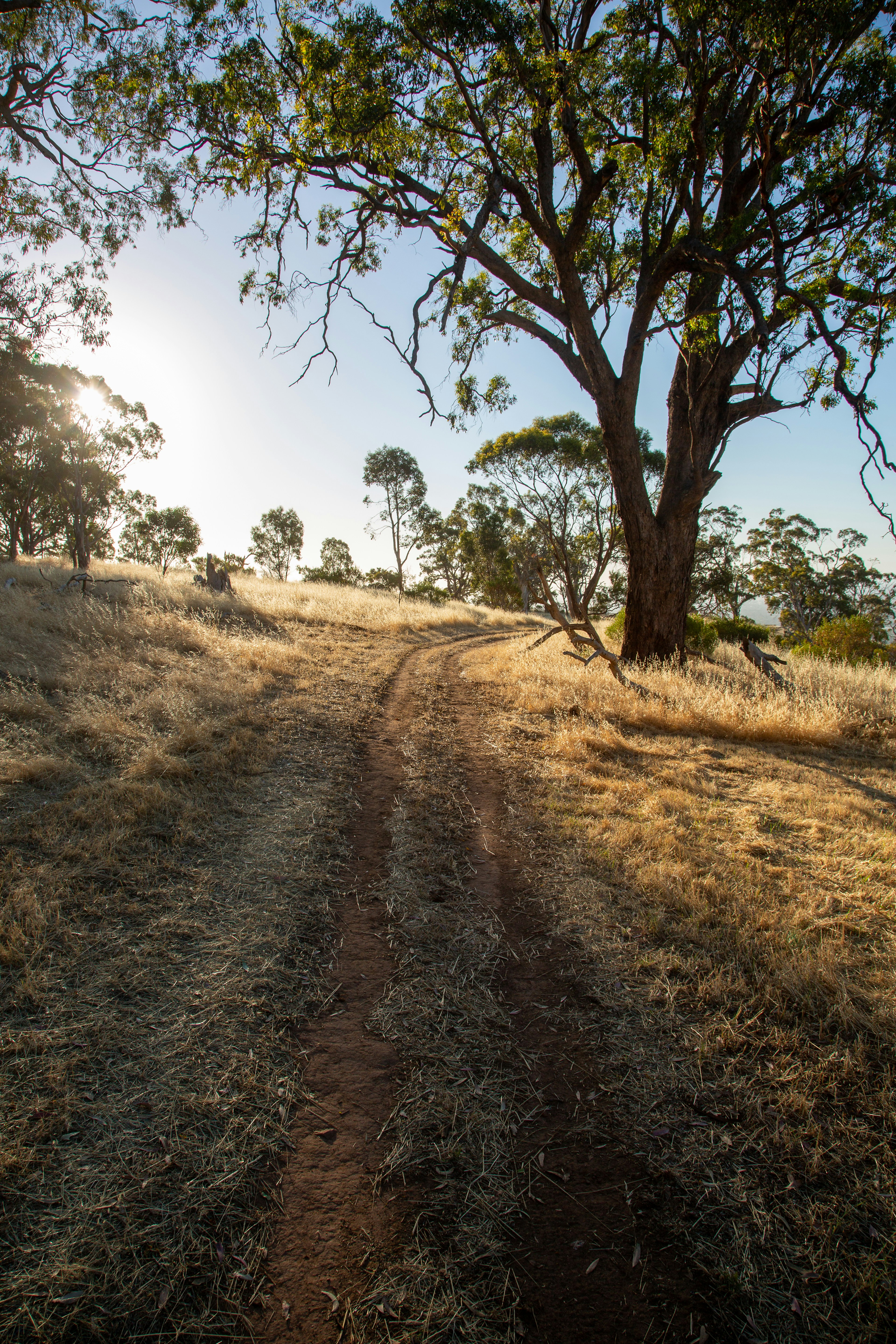 Photo by stephenmabbs