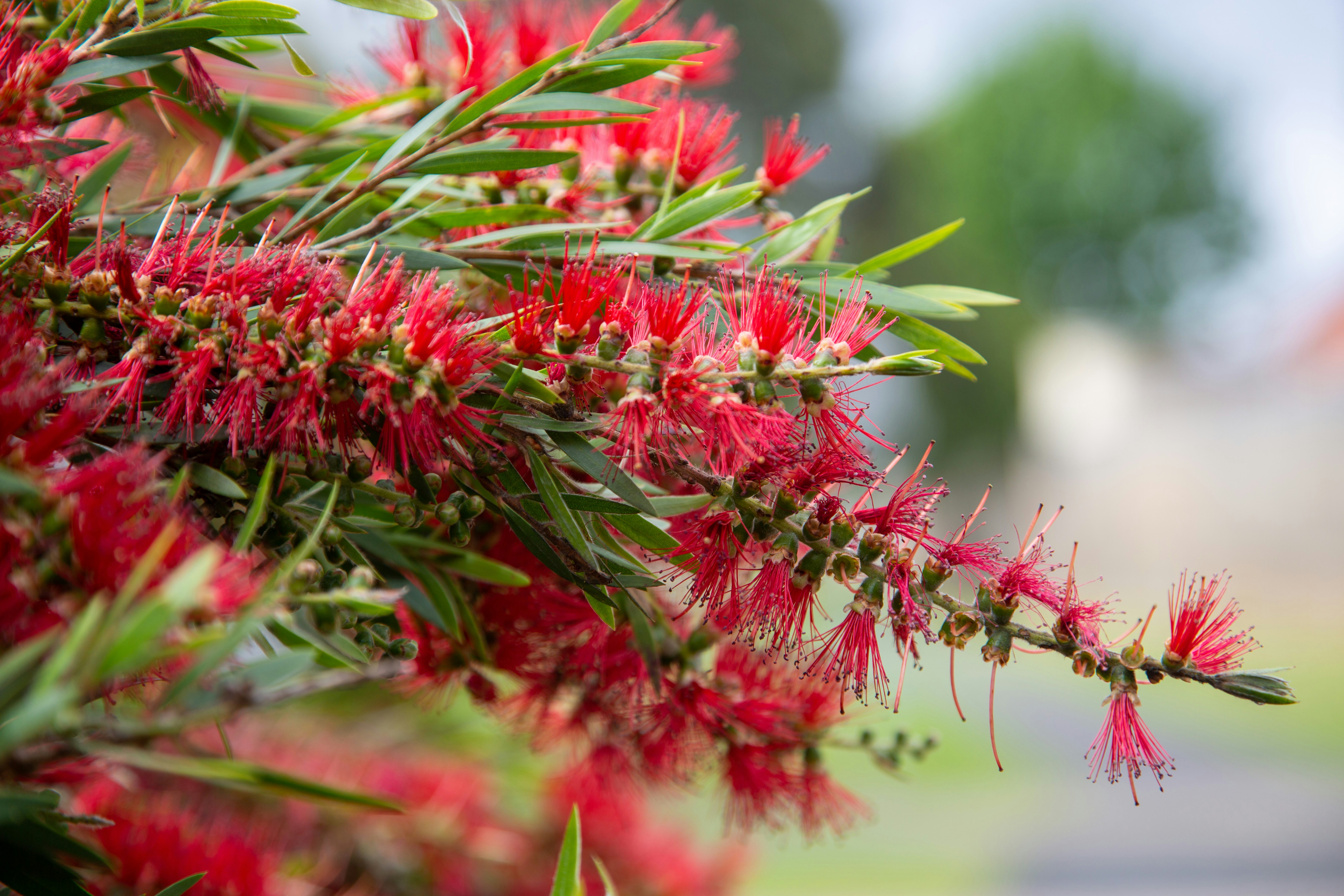 Photo by stephenmabbs