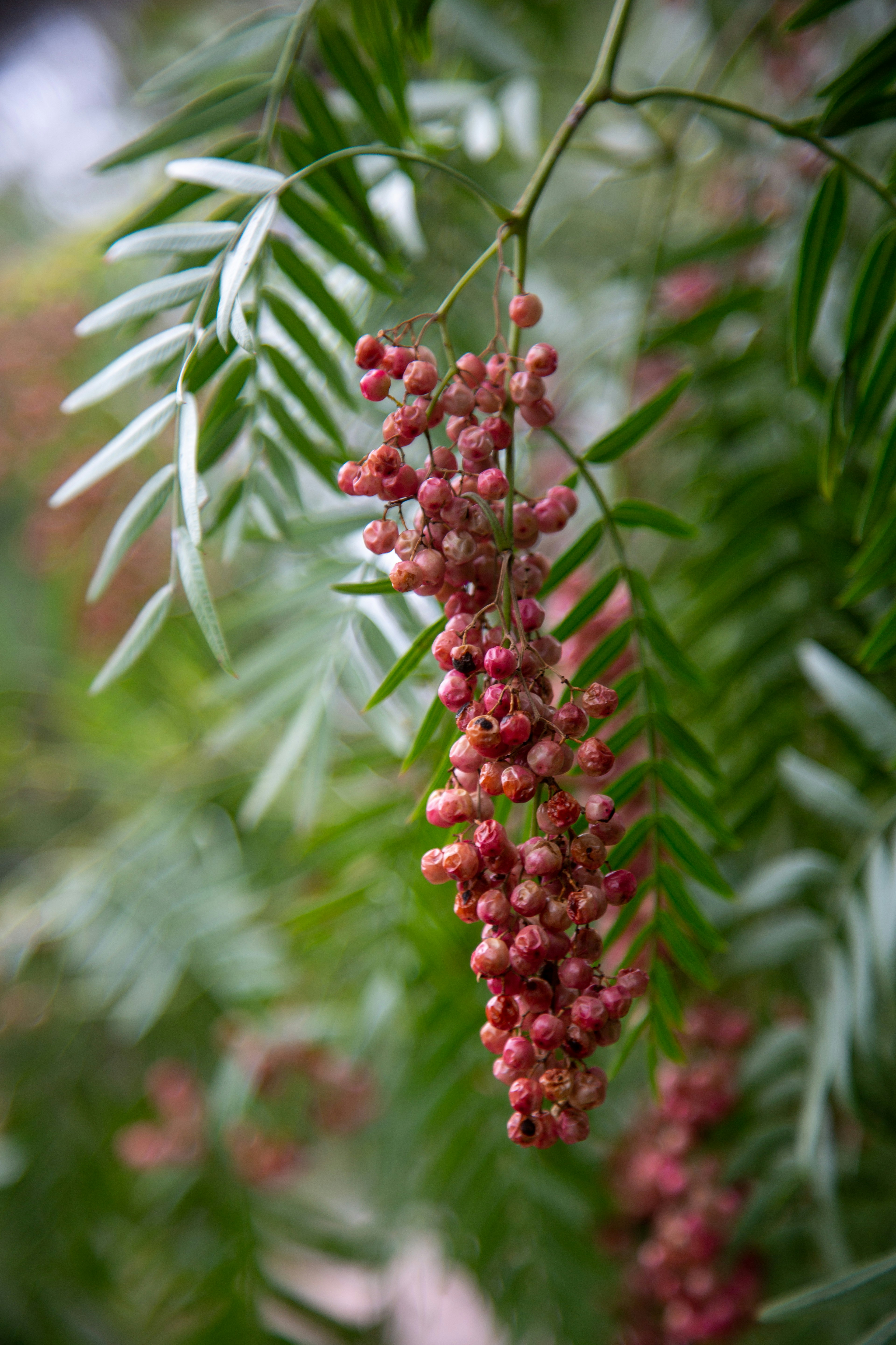 Photo by stephenmabbs