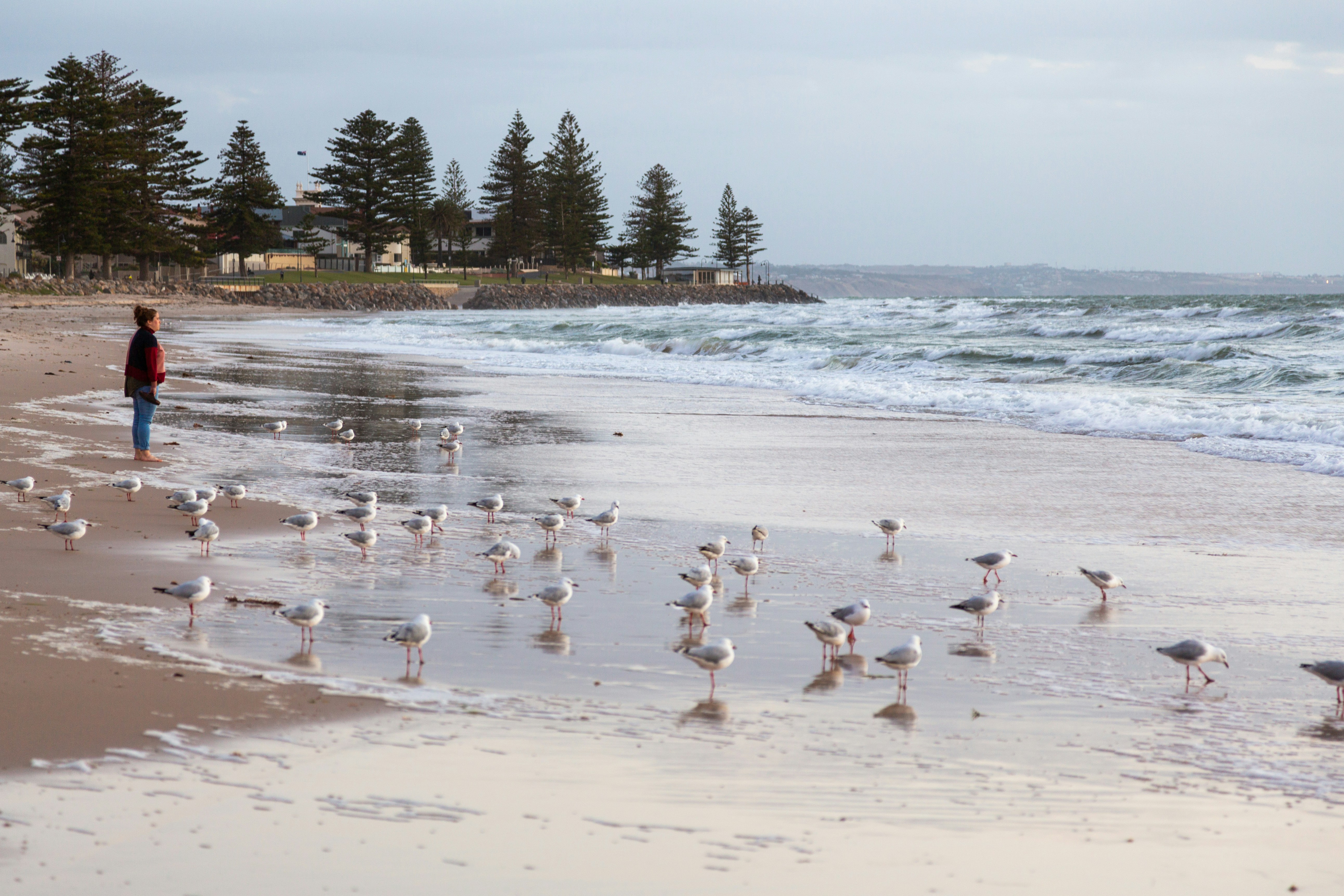 Glenelg North, South Australia