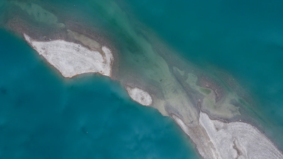 Aerial view of coastal water and dry forest