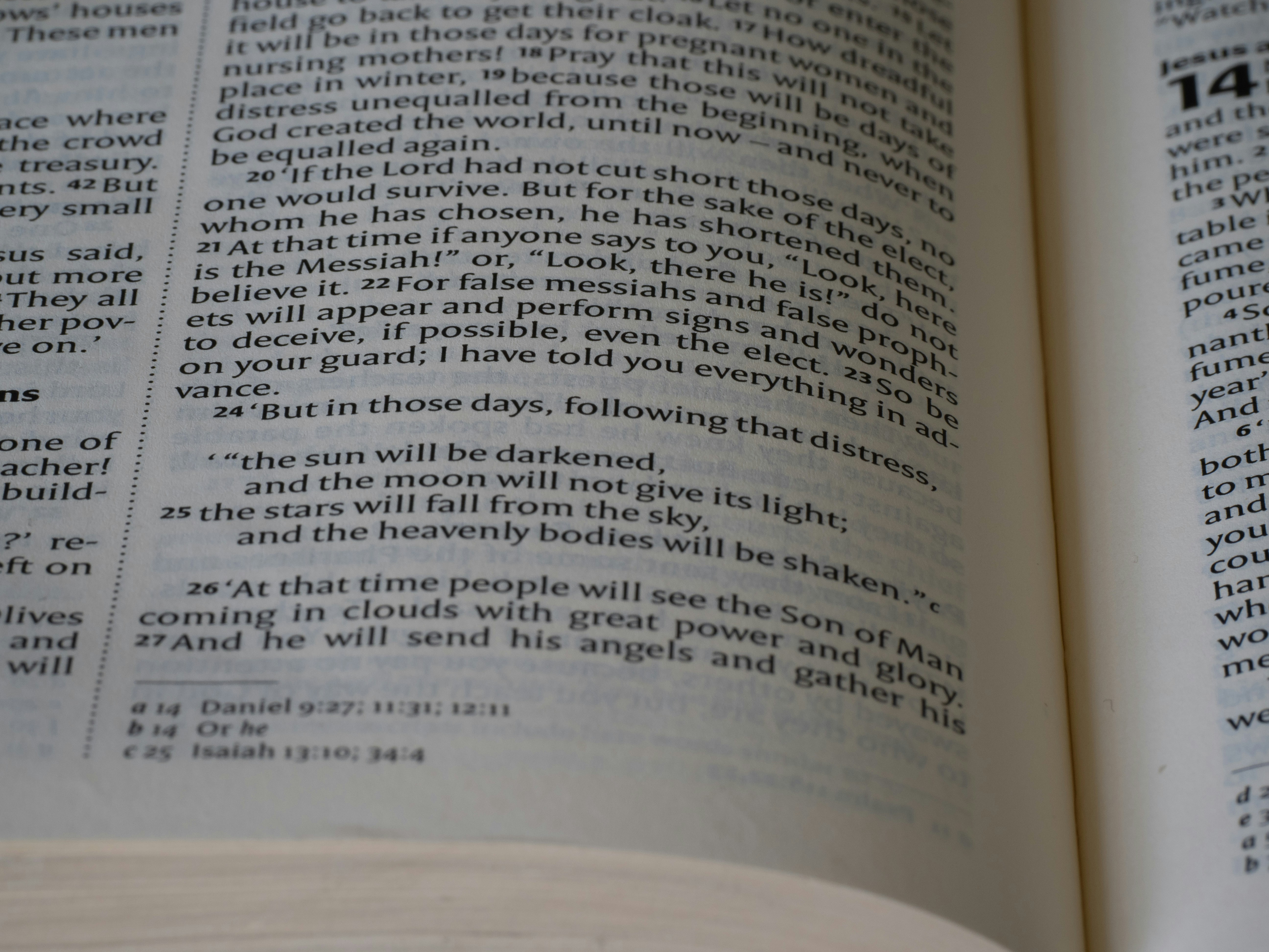 Photo by brett_jordan