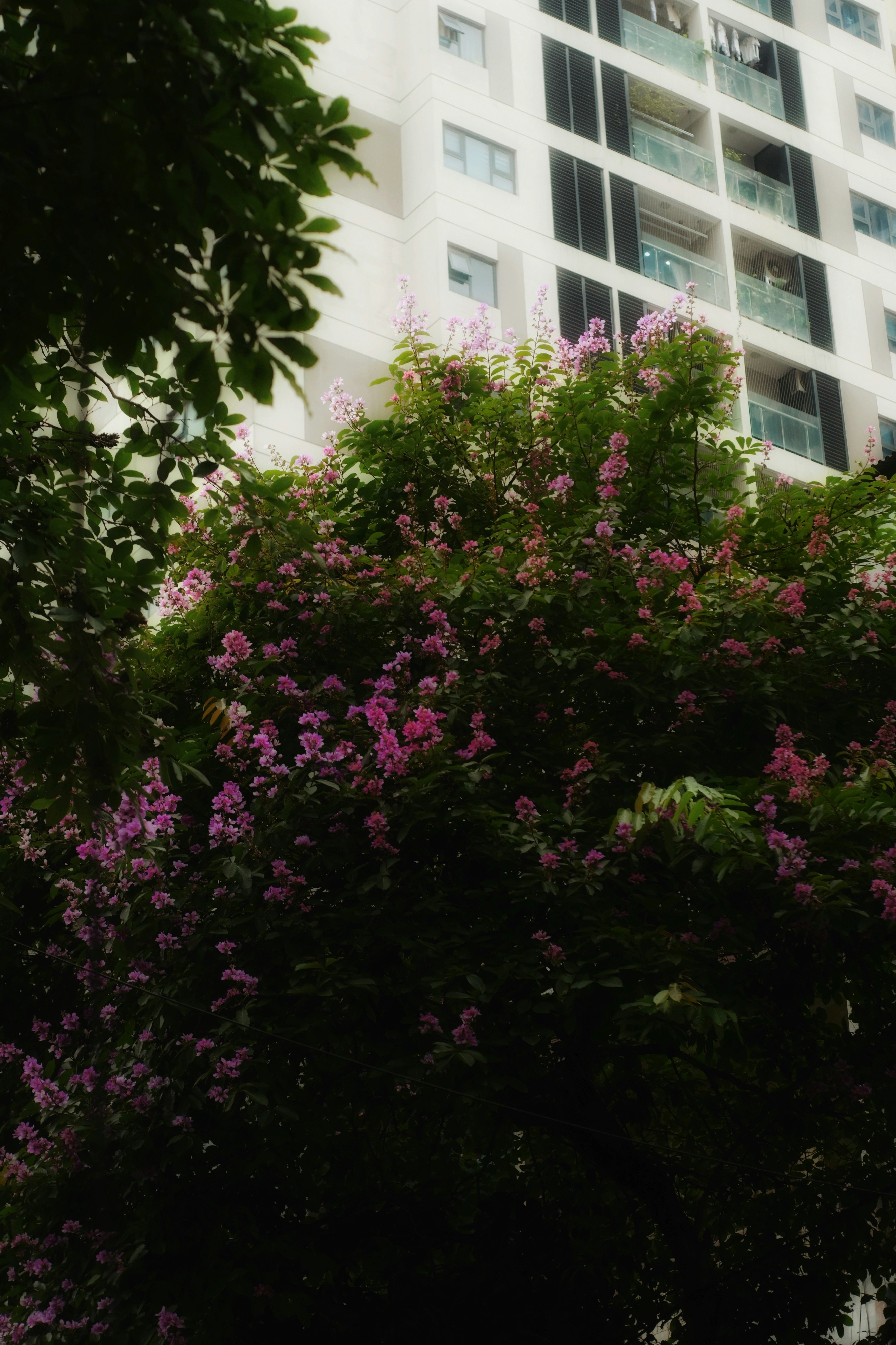 Photo by ltheritage