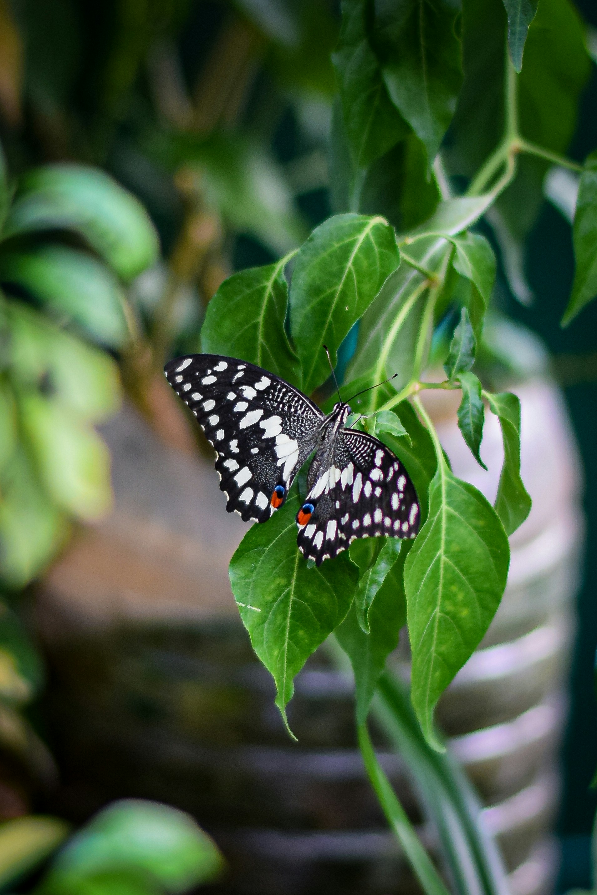 Photo by mitchbphotography22