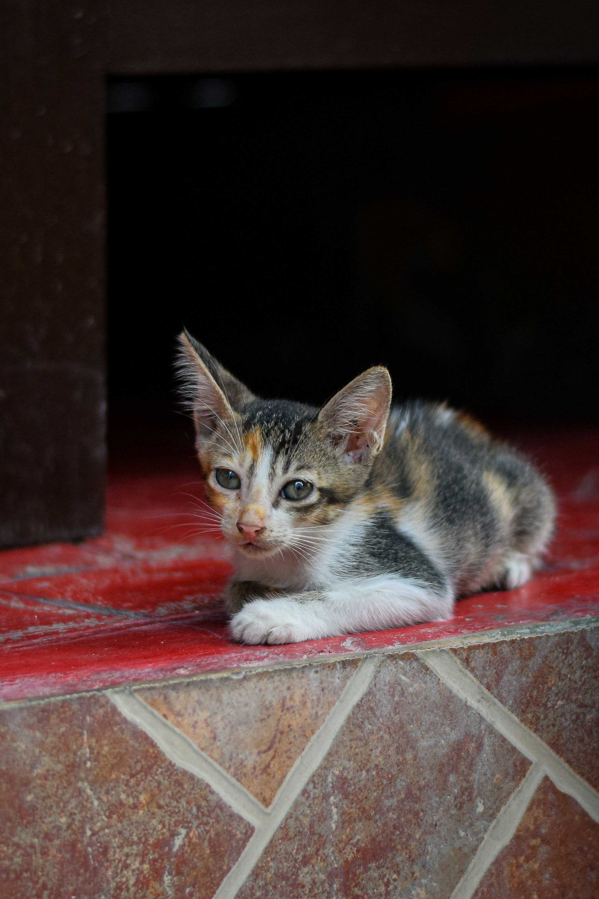 Photo by mitchbphotography22