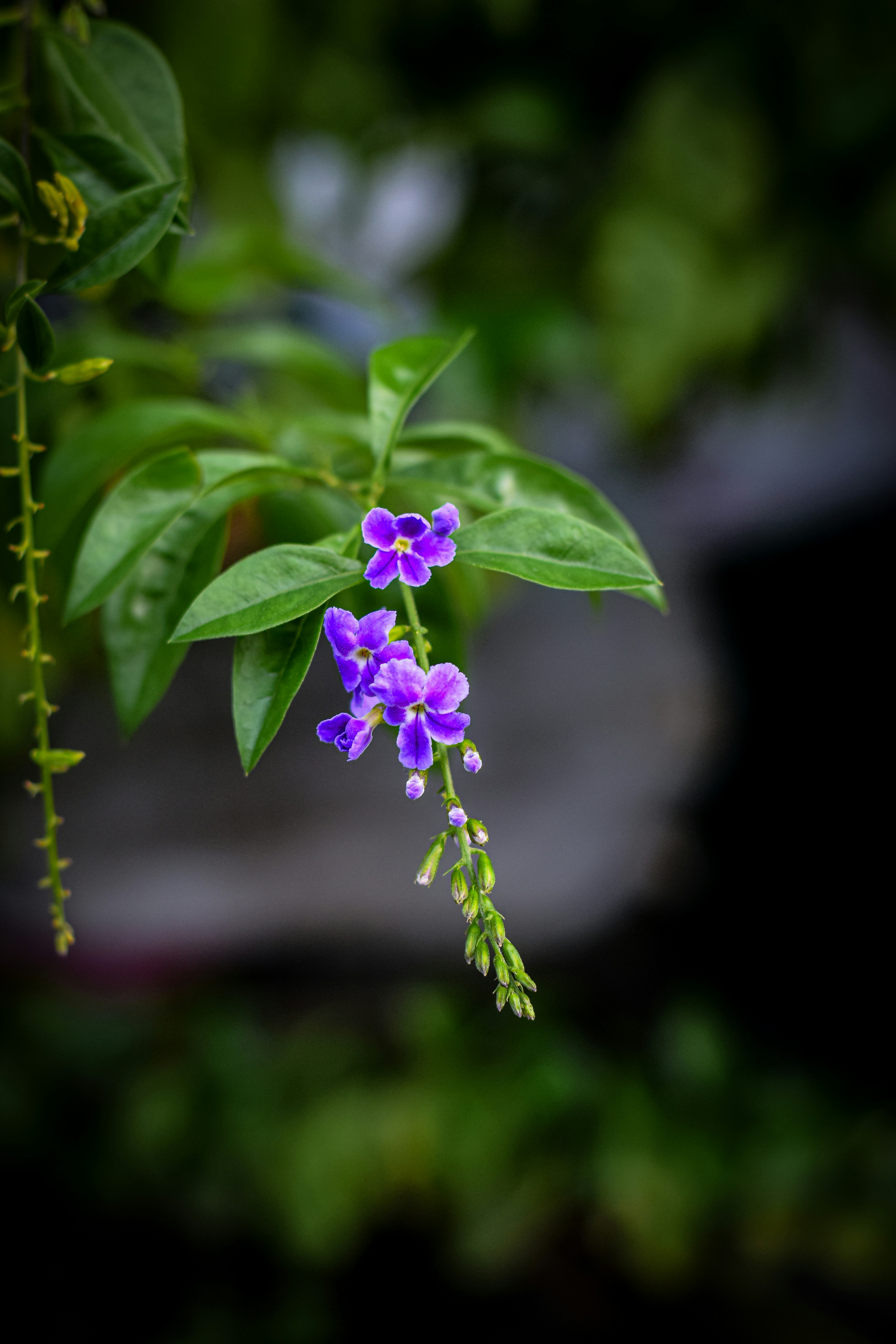 Photo by mitchbphotography22