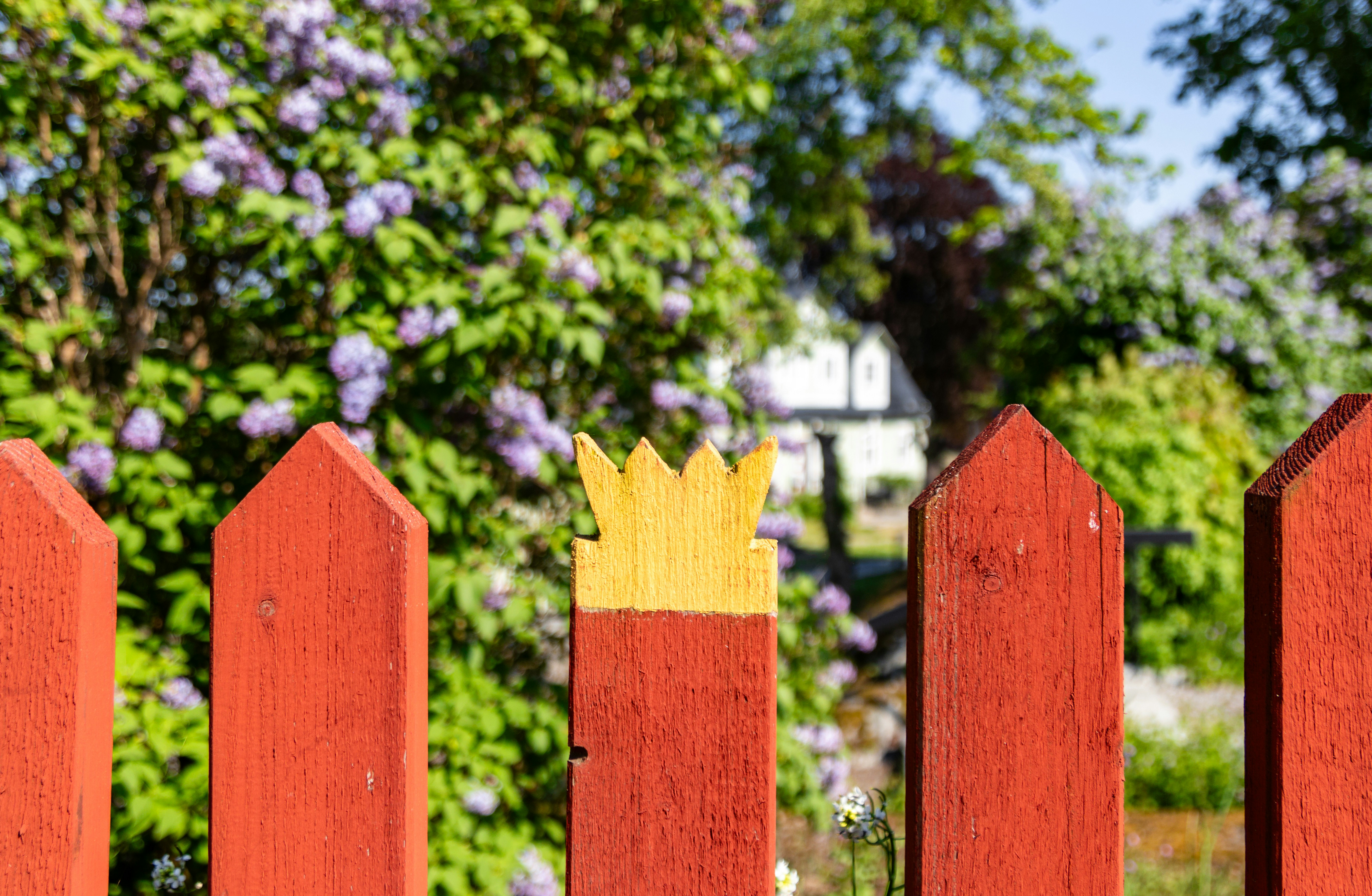 ein roter Zaun mit einer gelben Krone darauf