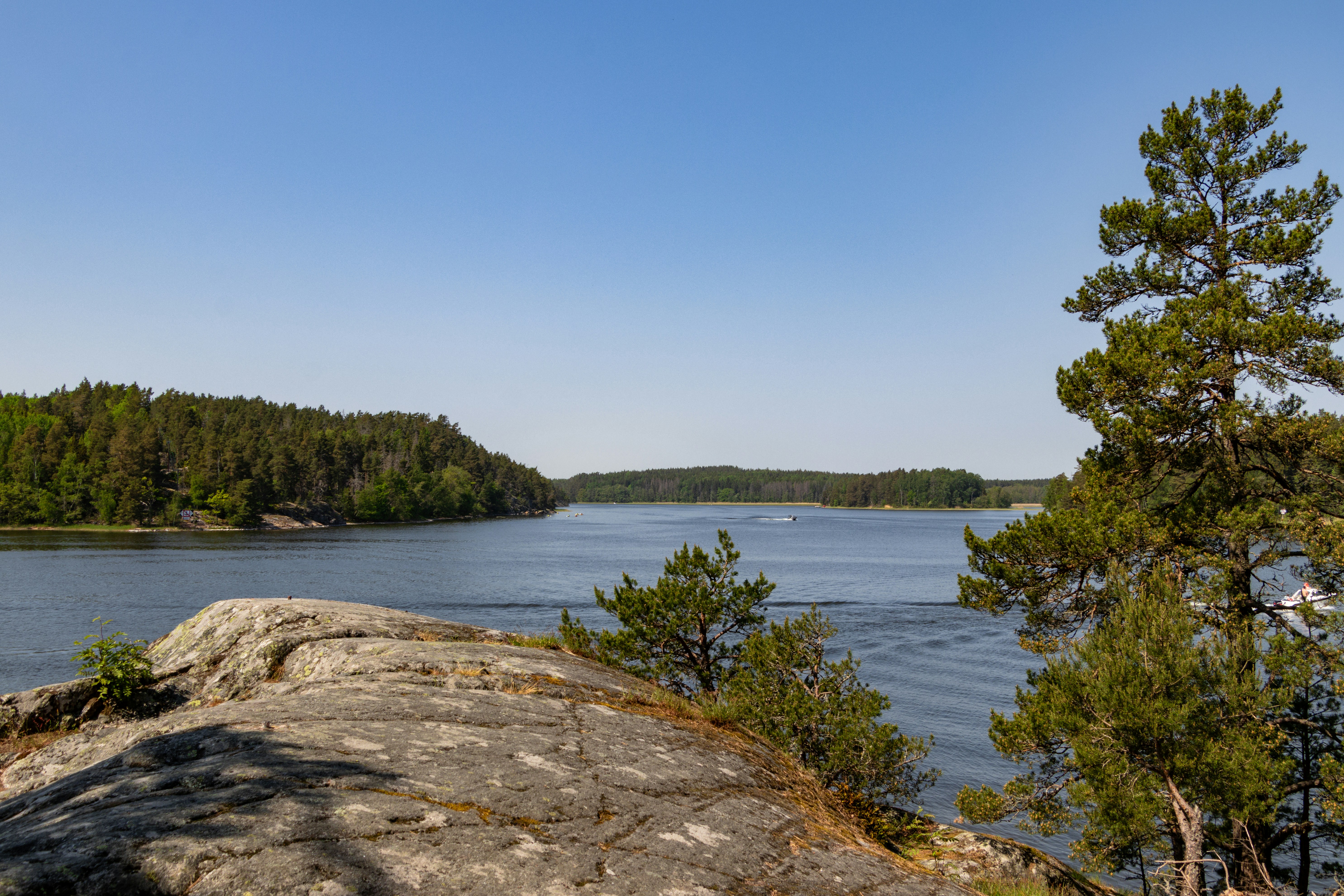 Ein großes Gewässer, umgeben von Bäumen