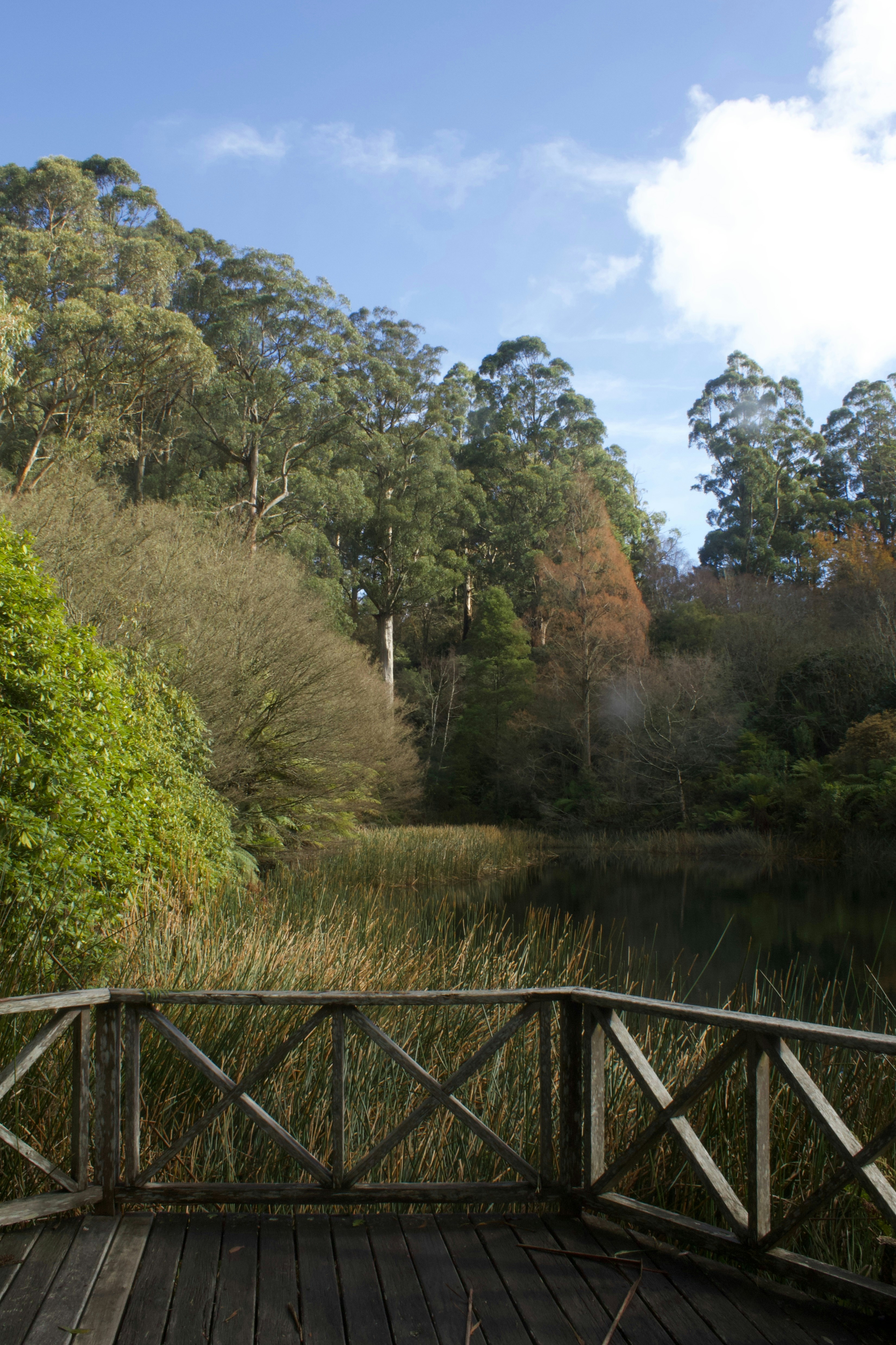a wooden bridge over a body of water