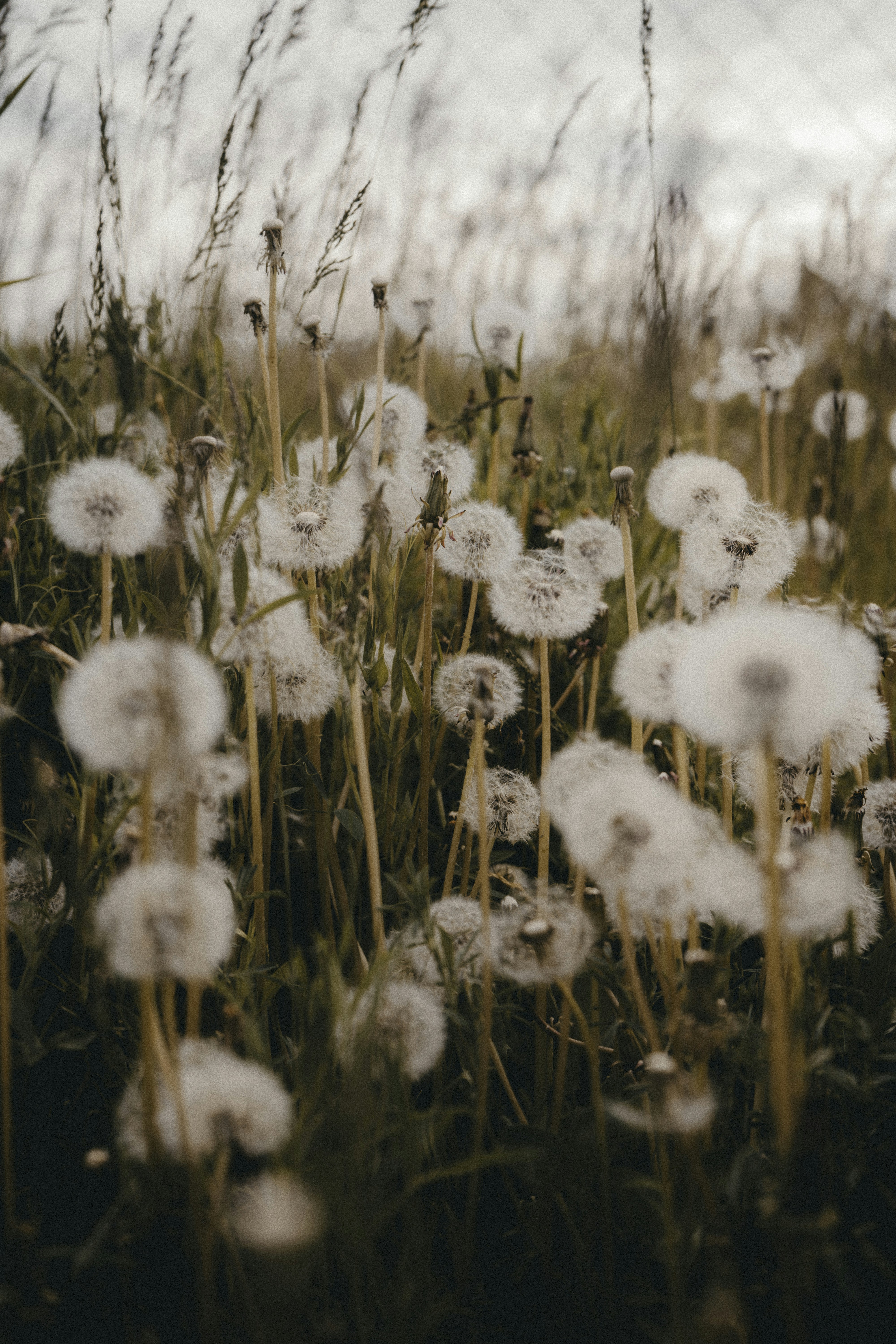 Photo by volkova_2897