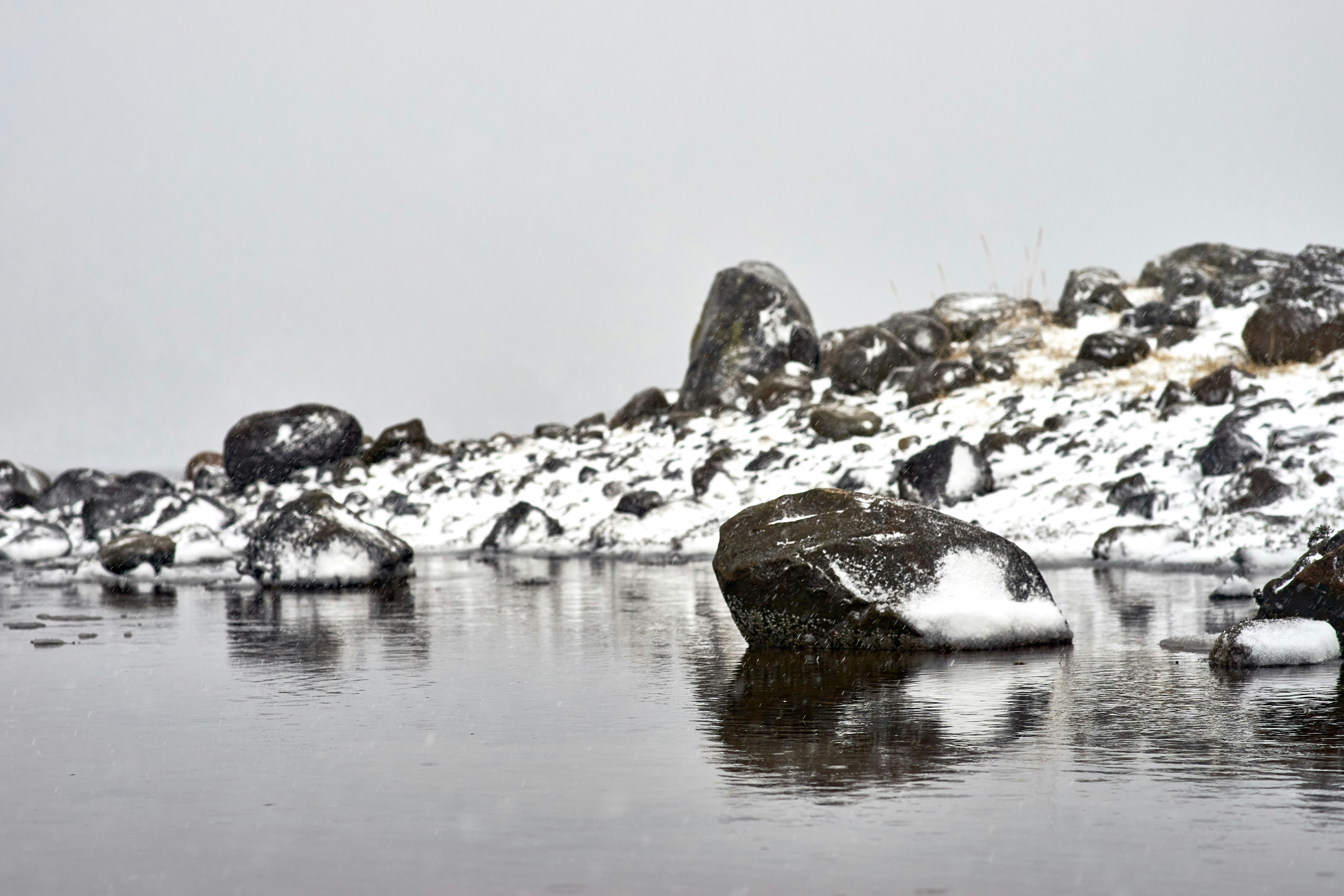 Photo by wolfgang_hasselmann