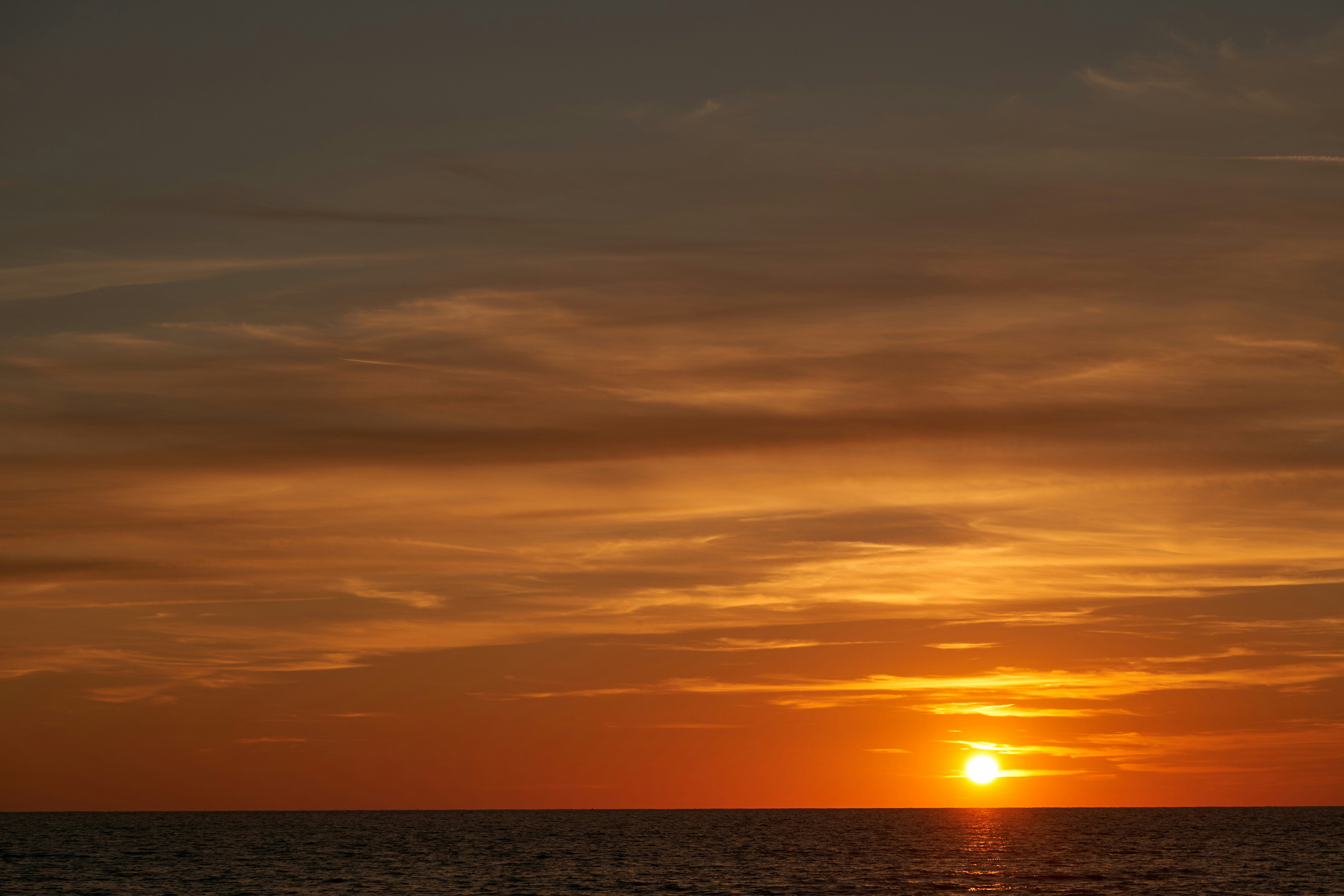 Photo by wolfgang_hasselmann