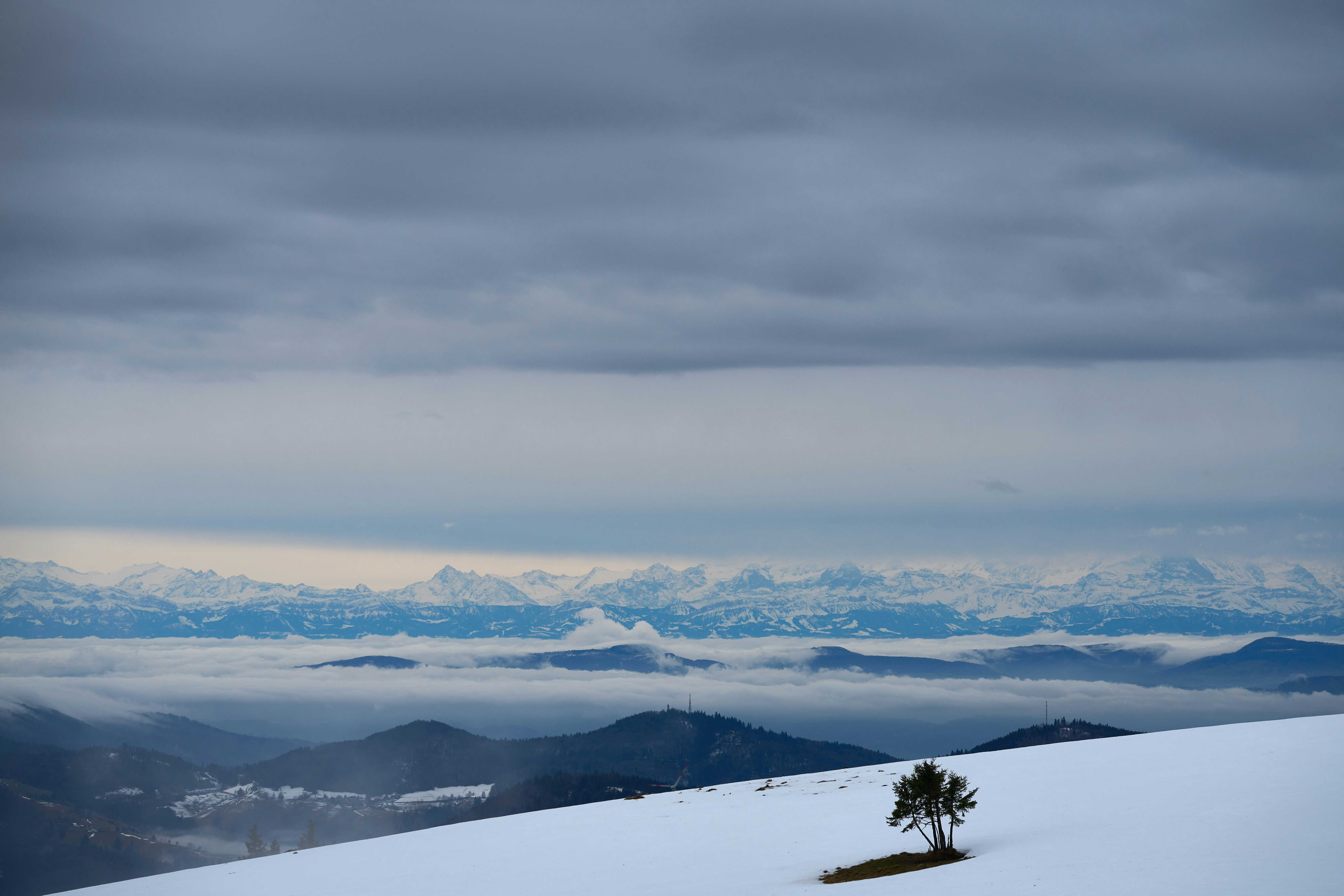 Photo by wolfgang_hasselmann