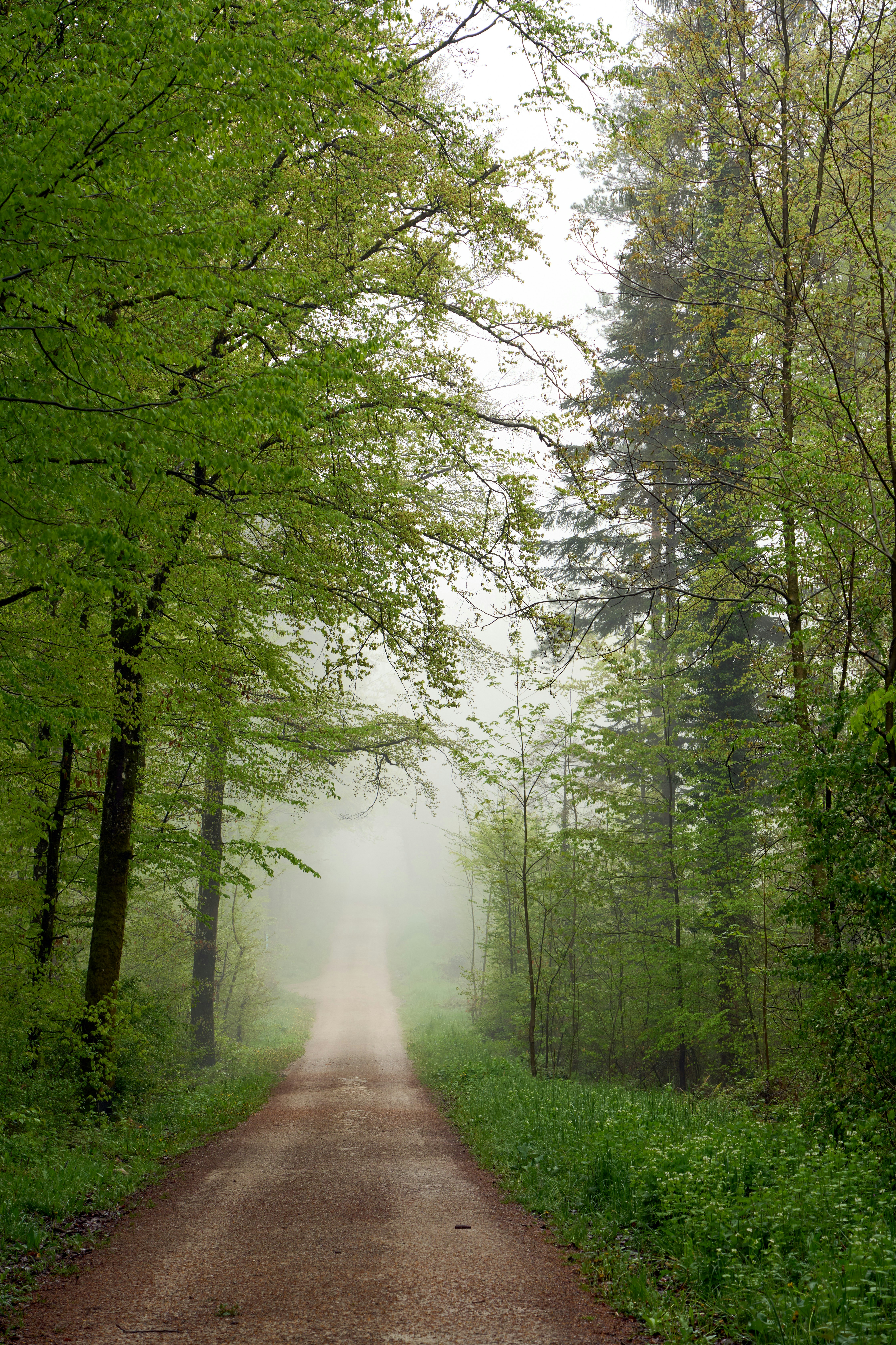 Photo by wolfgang_hasselmann