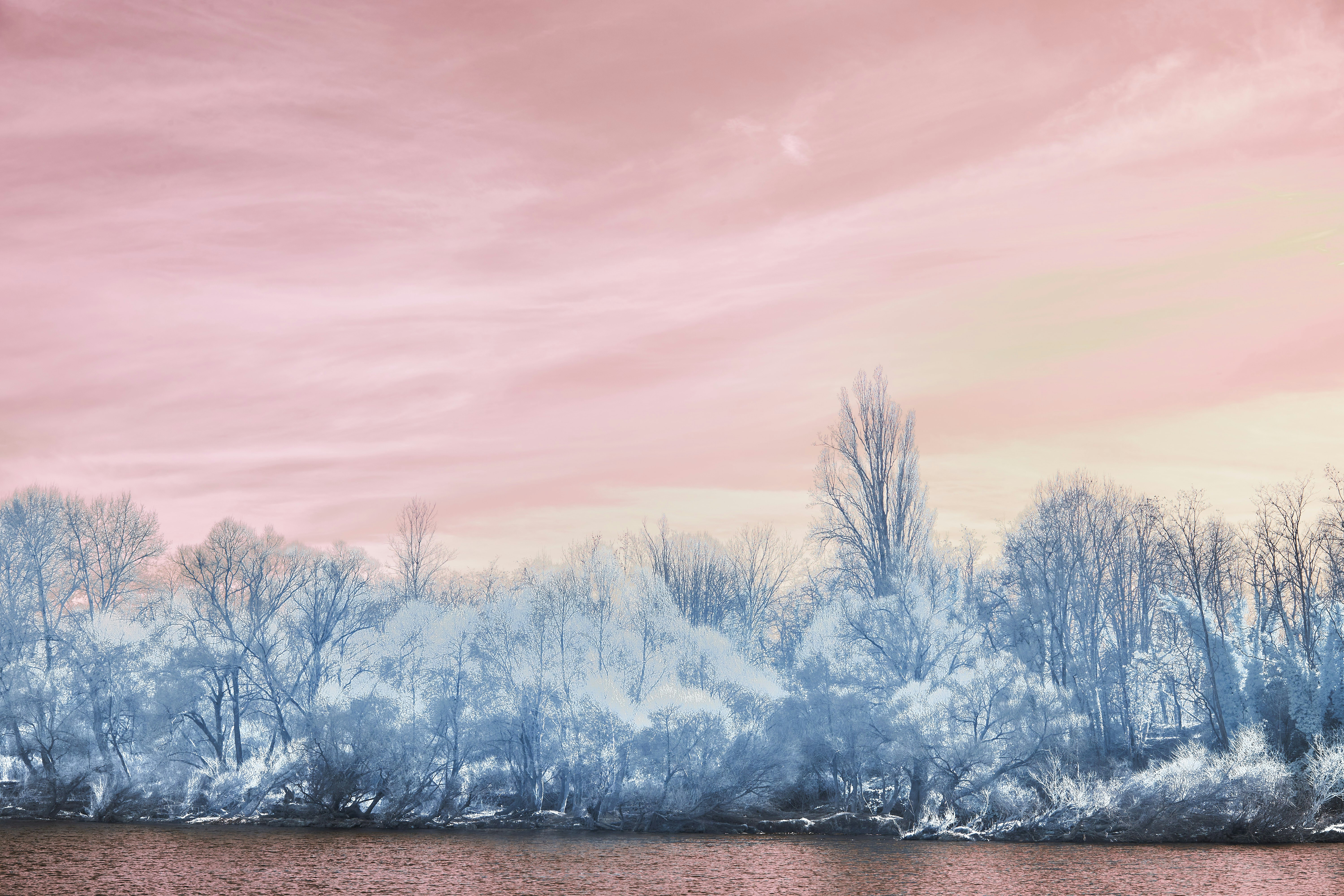 Photo by wolfgang_hasselmann