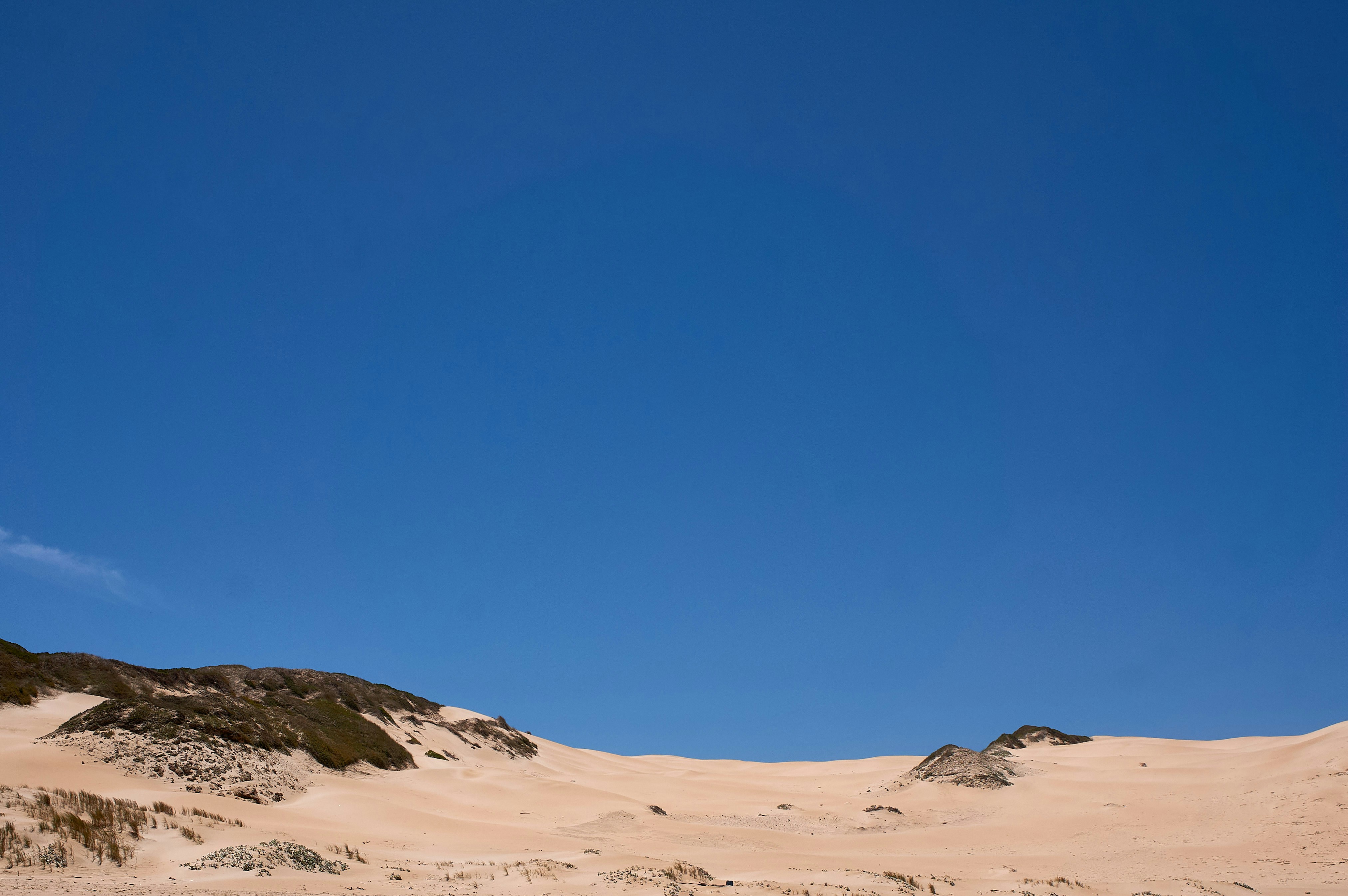 Photo by wolfgang_hasselmann