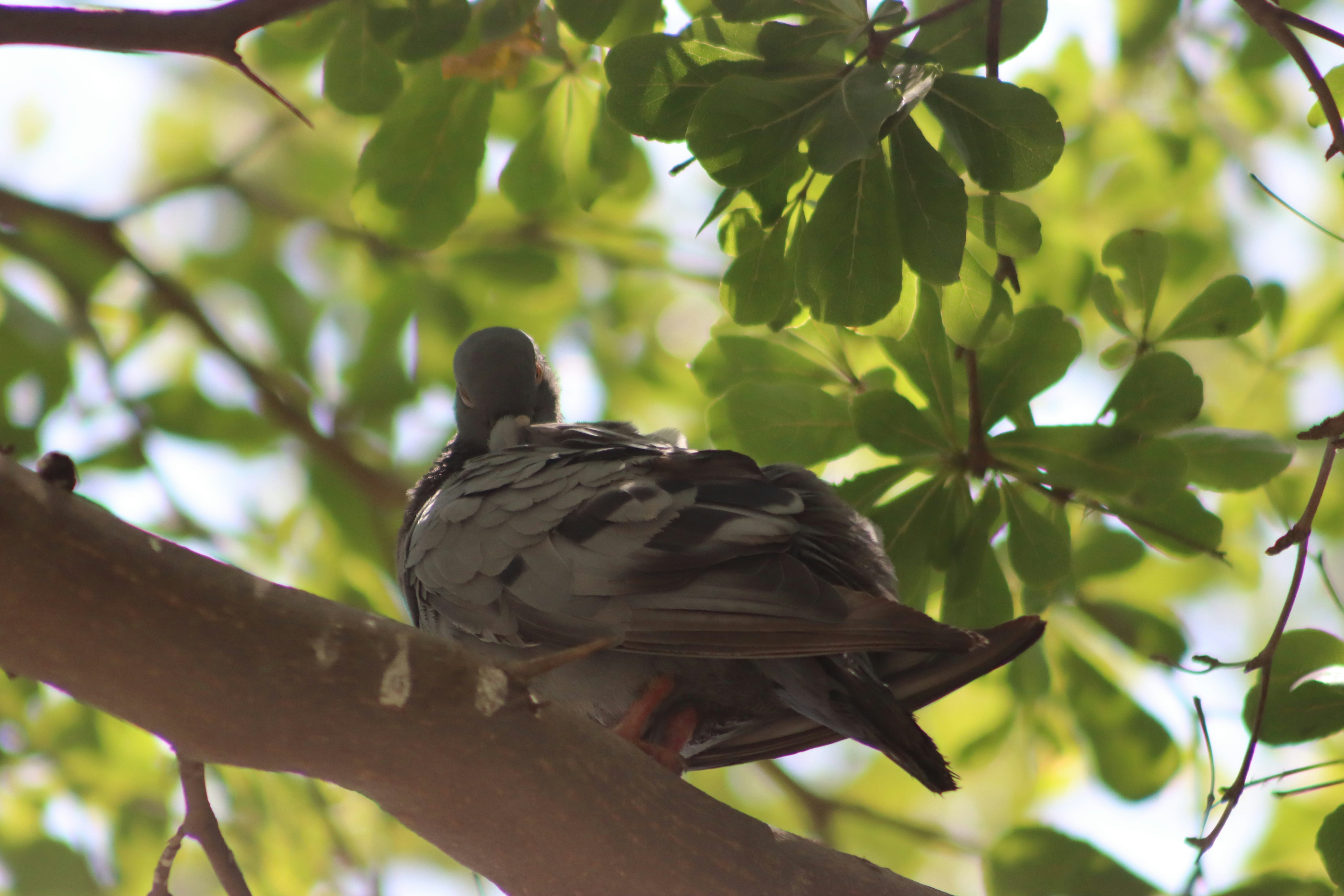 Photo by drphotographer152