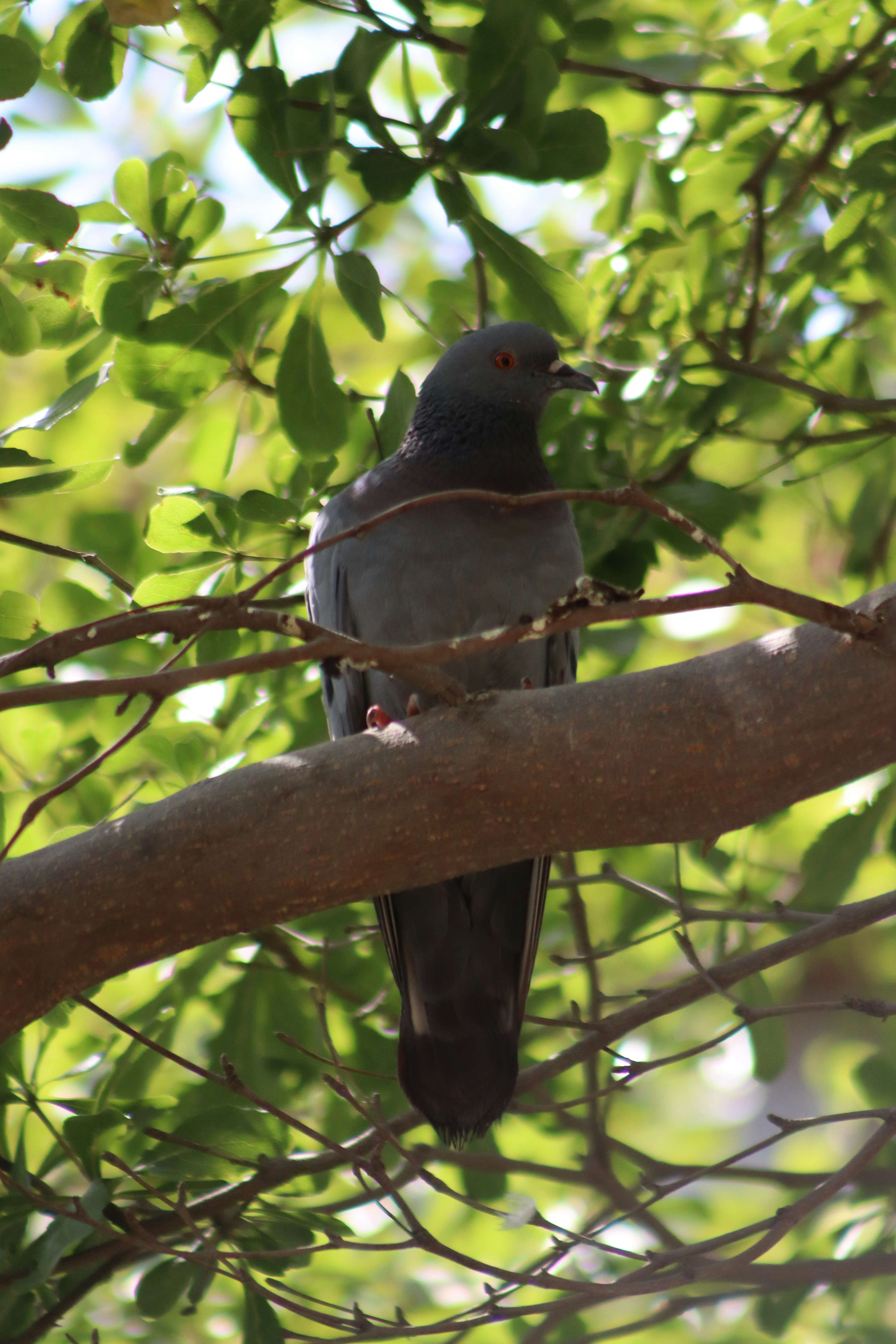 Photo by drphotographer152