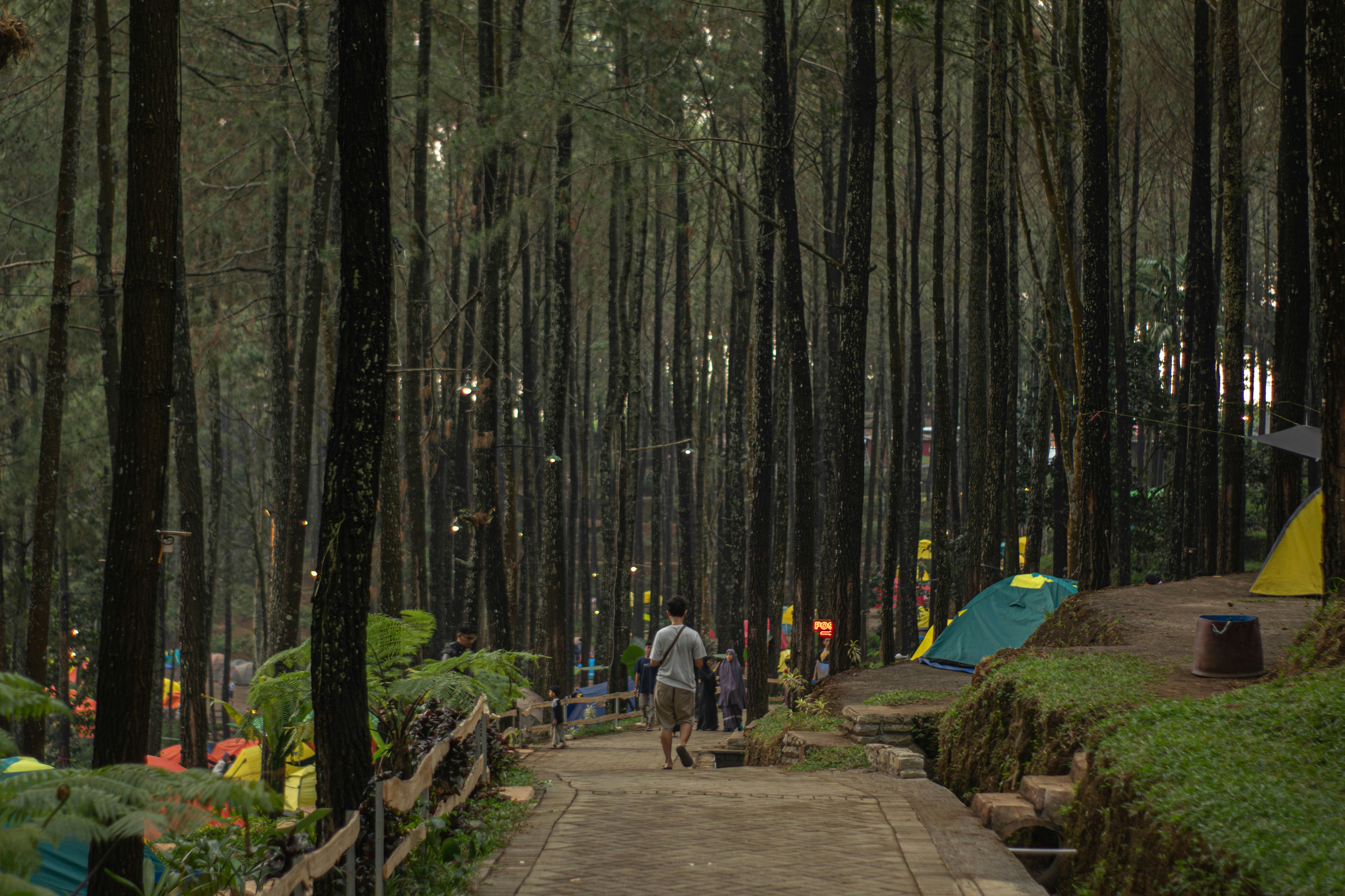 Man riding skateboard in forest