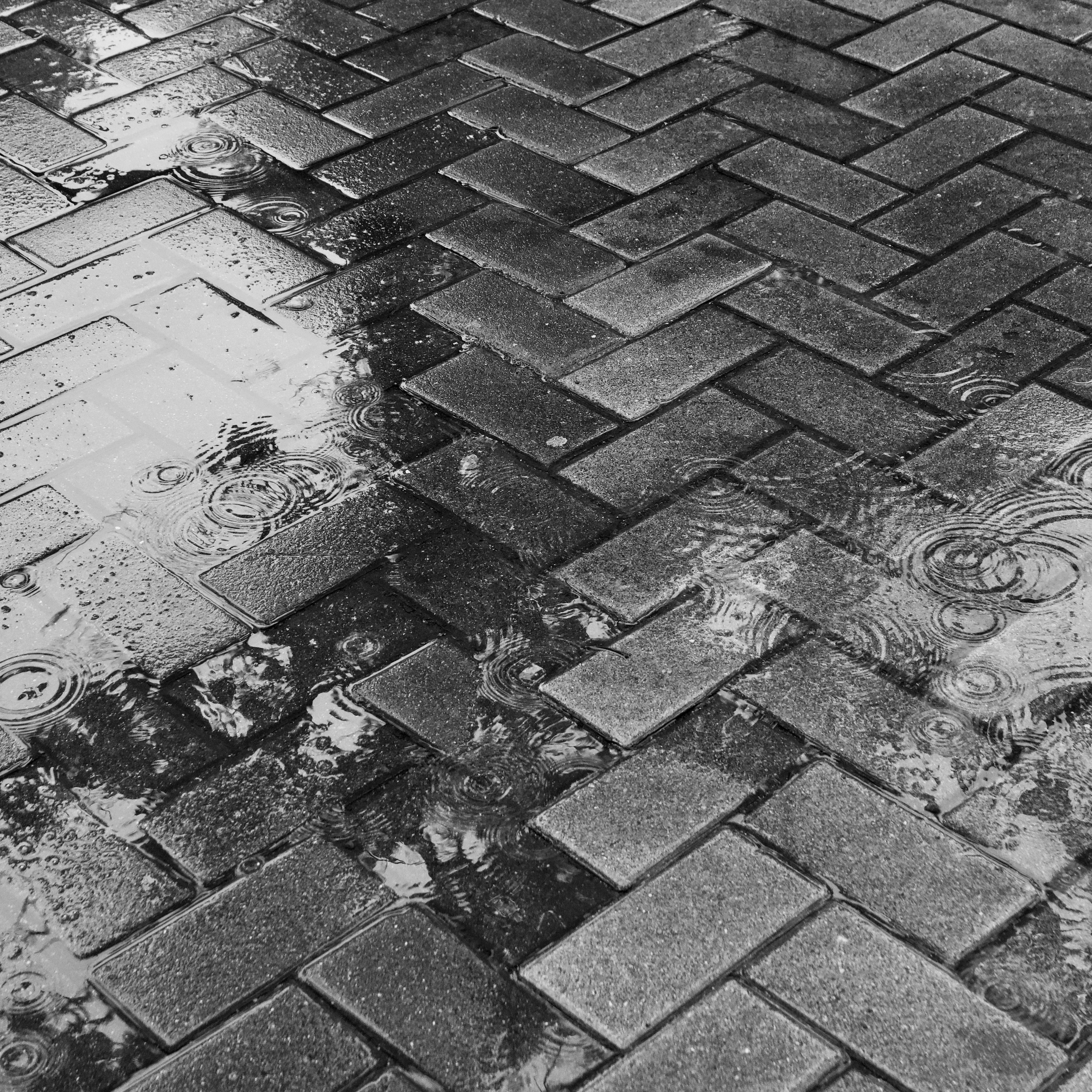 Photo by tomporelmonte