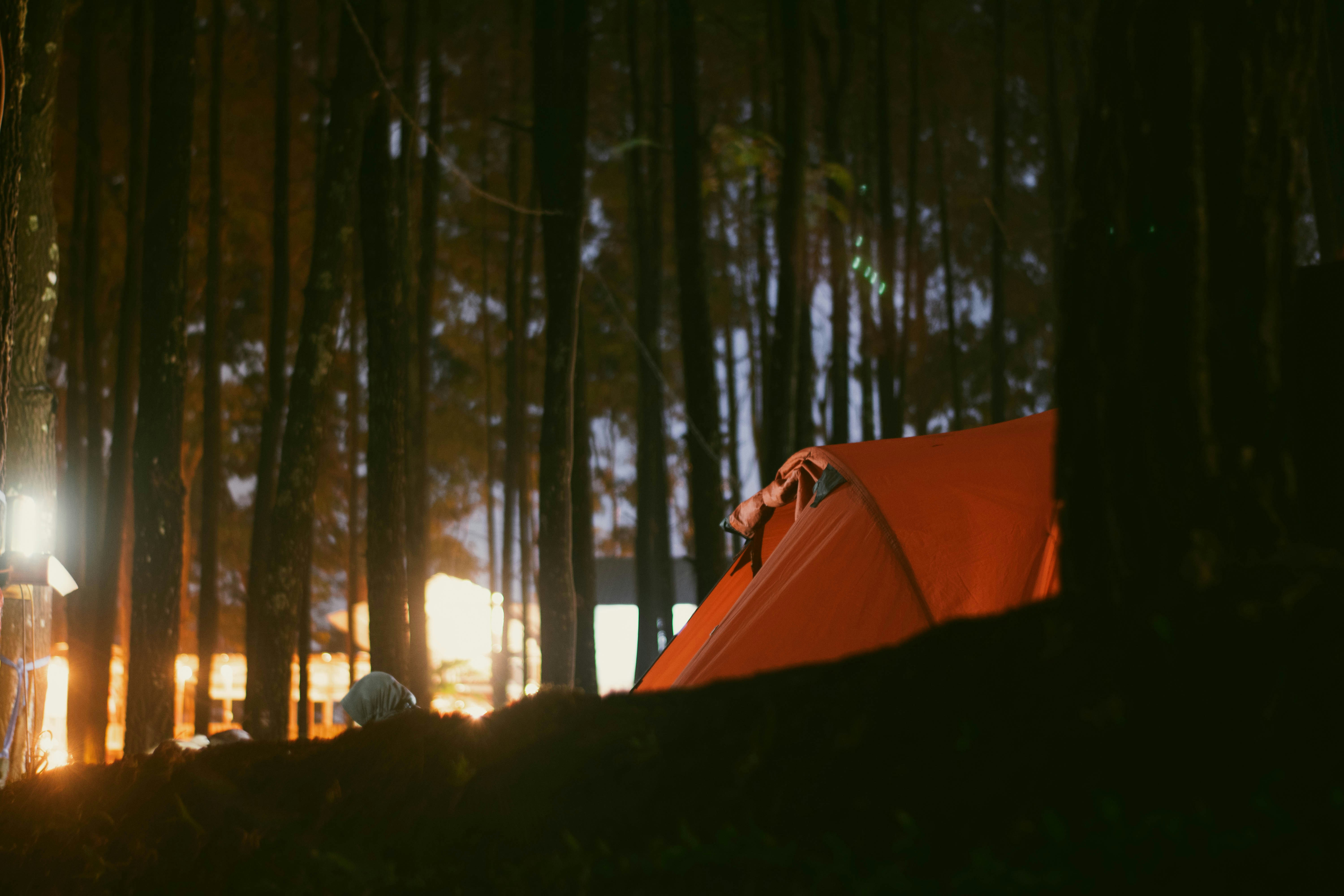 a tent in the middle of a forest at night