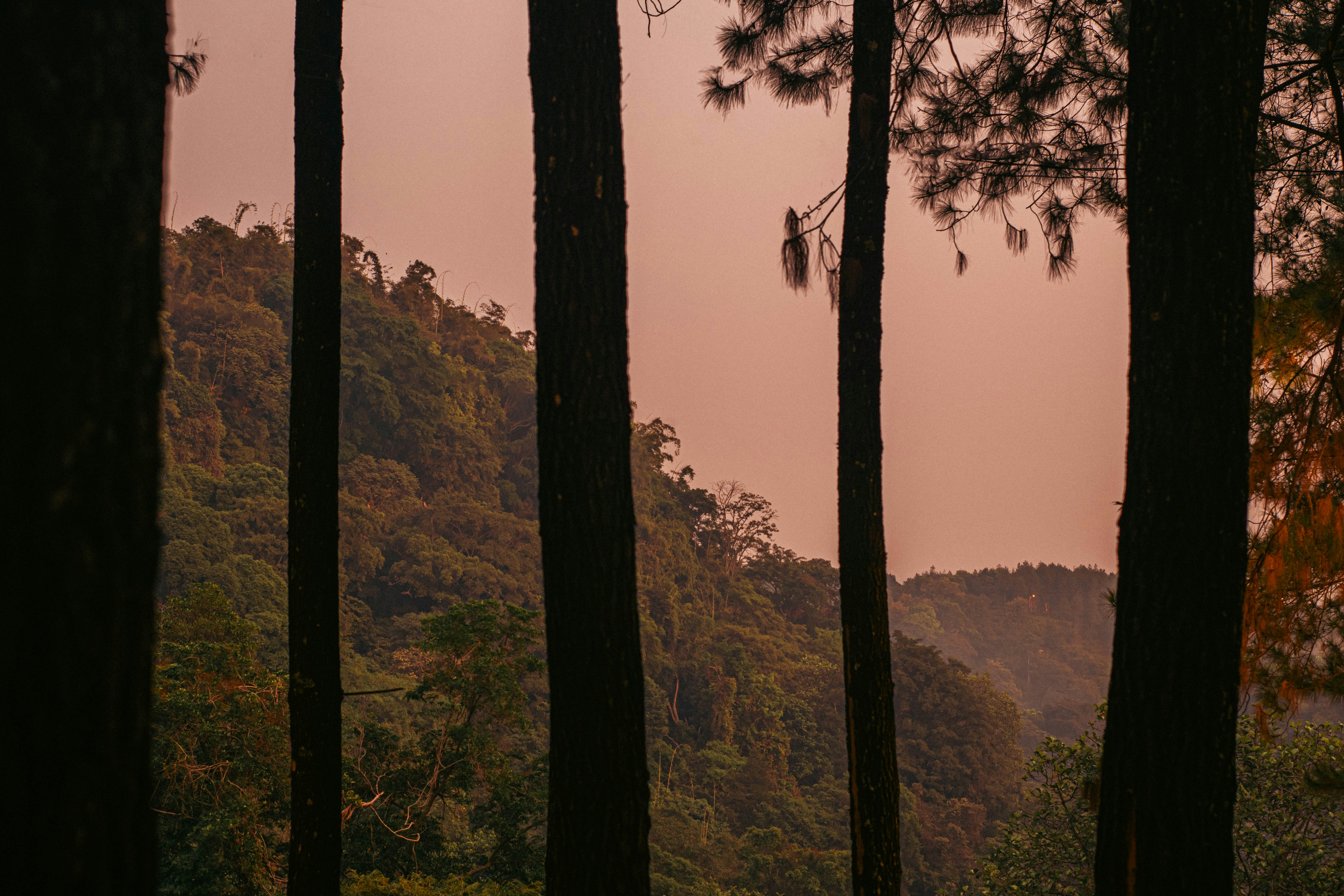 Photo by fajarmagsyar