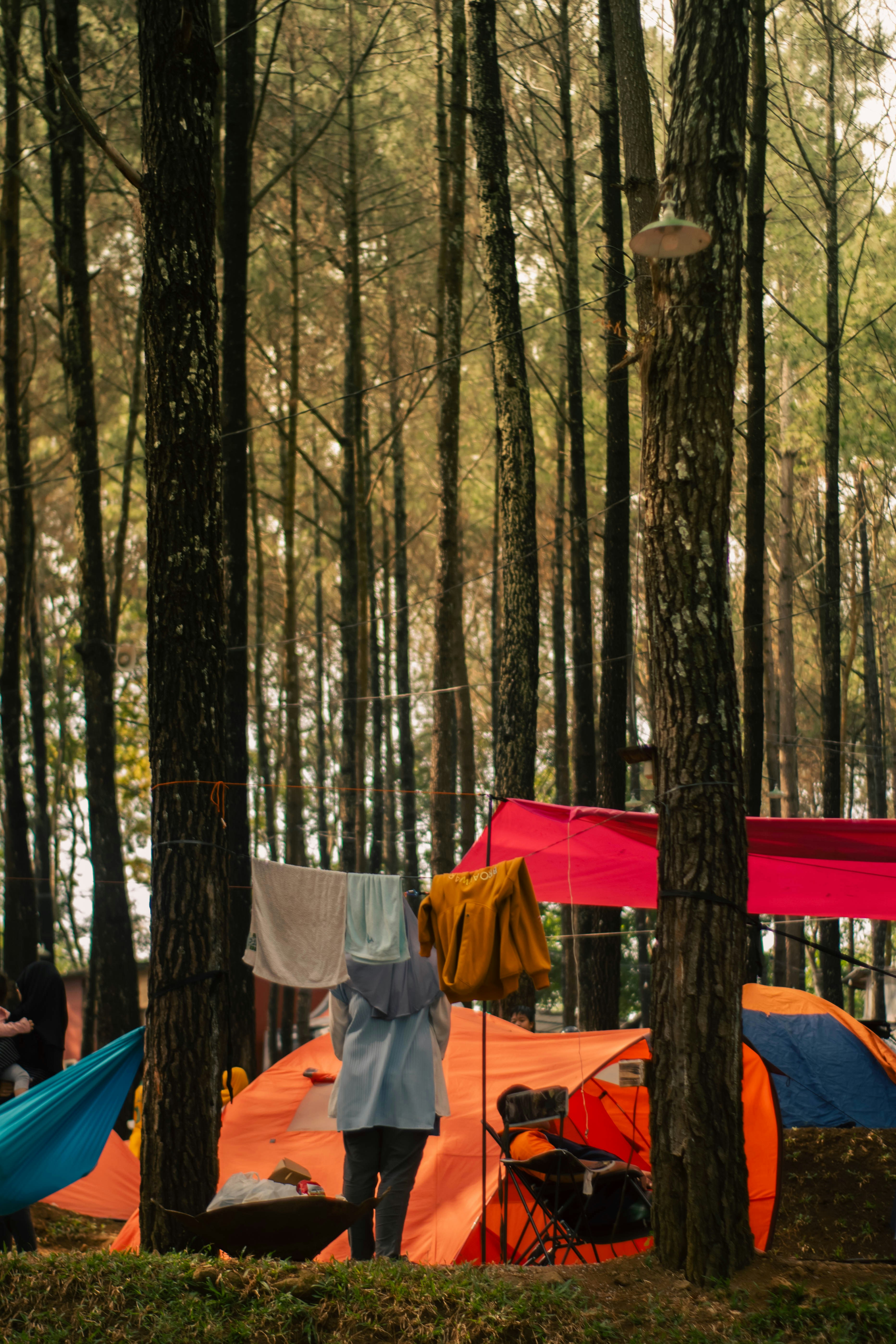 Loop Capital Initiates Coverage On Camping World Holdings with Buy Rating, Announces Price Target of $17